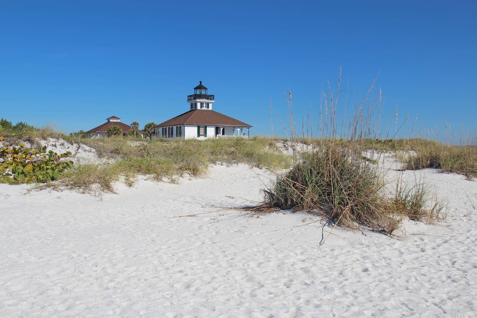 The Port Boca Grande Lighthouse and assistant keeper's dwelling on Gasparilla Island, Florida viewed from the beach with sea oats (Uniola paniculata), sea grape (Coccoloba uvifera) and cabbage palmettos (Sabal palmetto)