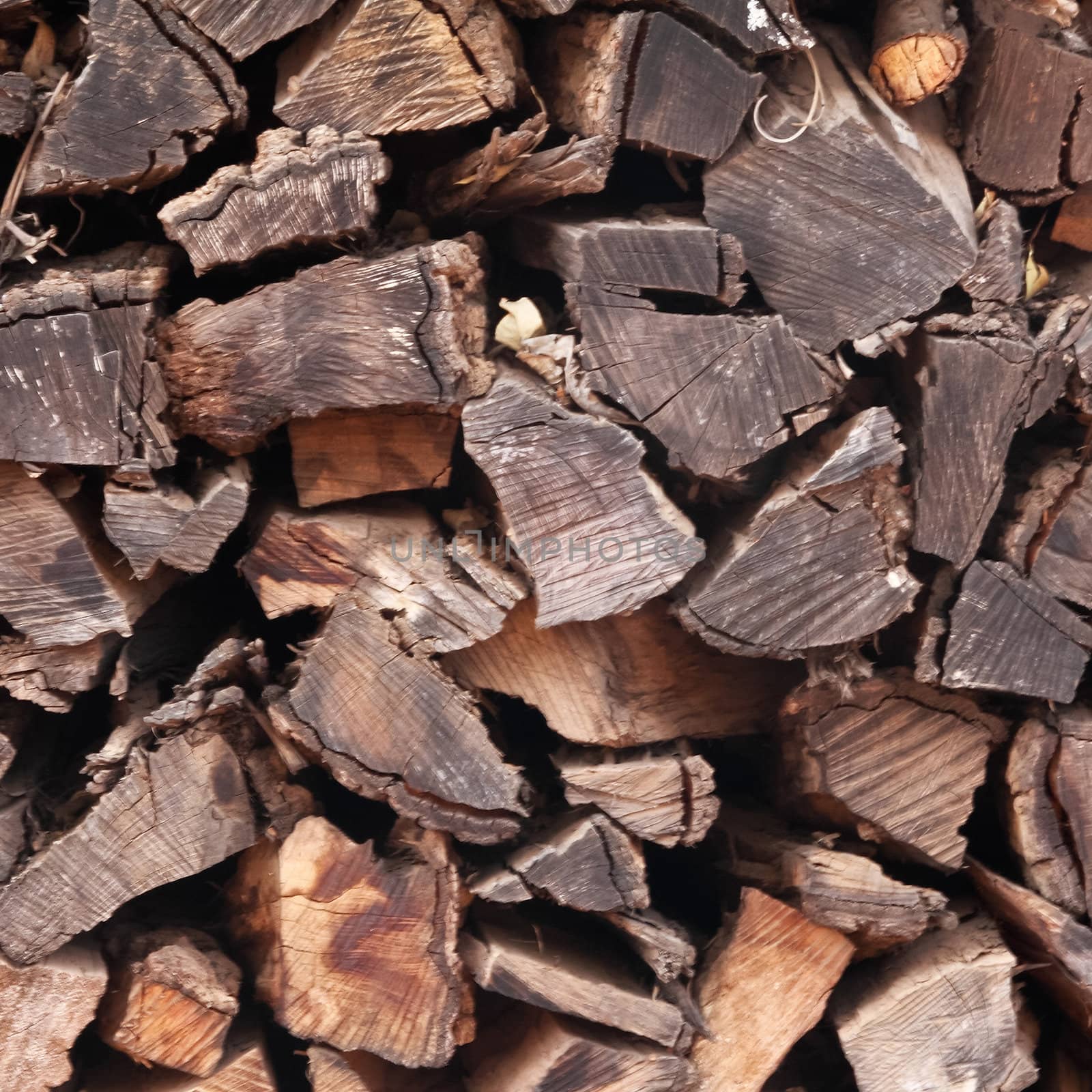 Dry firewood in a pile for furnace kindling