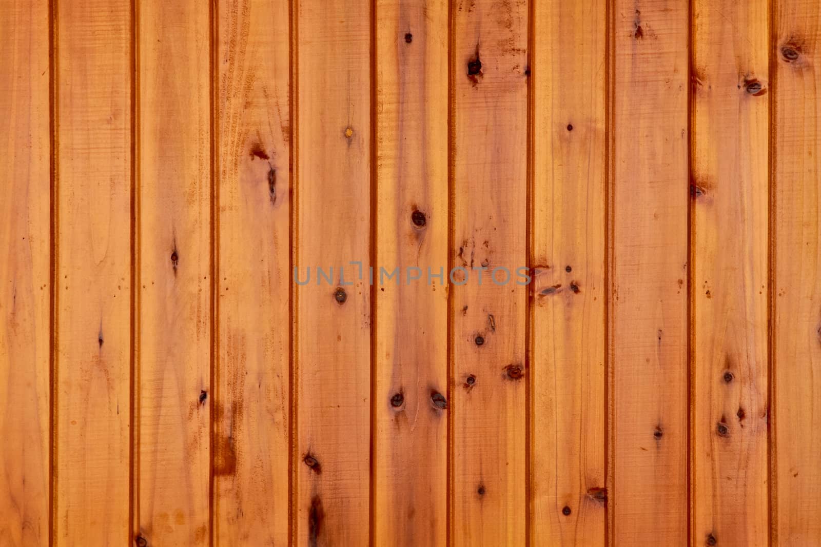 Background wood brown texture with natural patterns