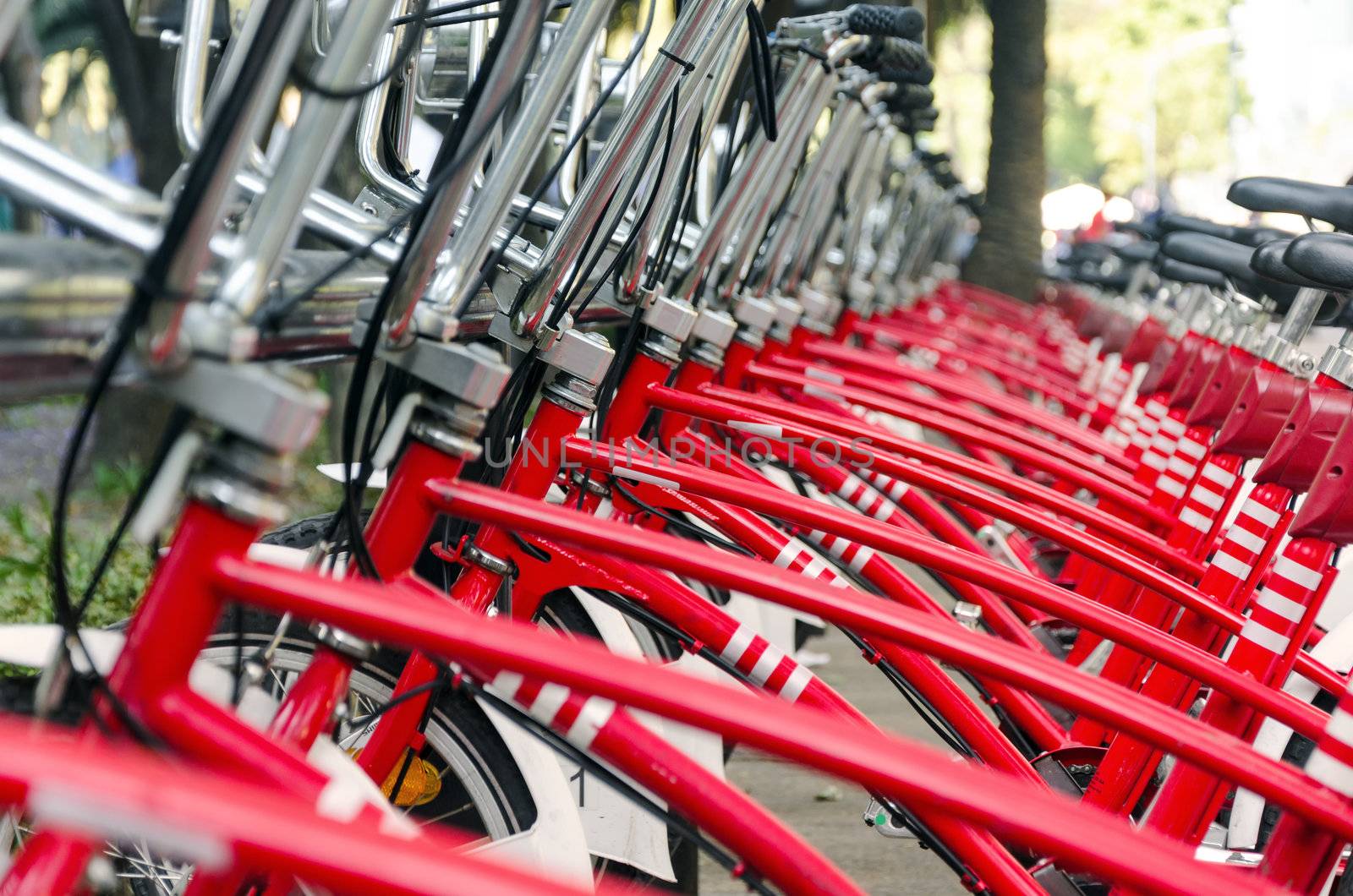 Long row of red bicycles in Mexico City for public use