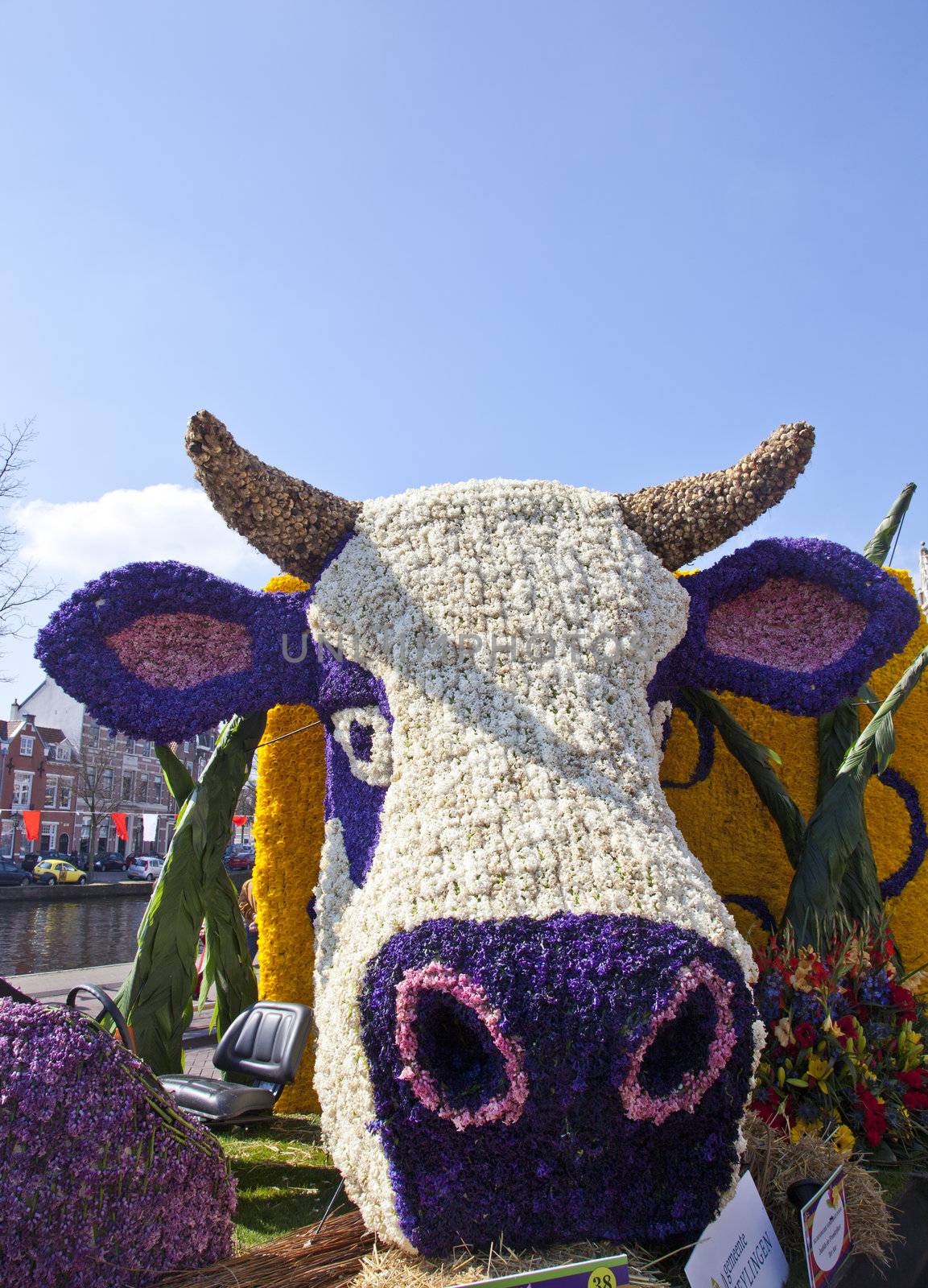 HAARLEM, THE NETHERLANDS - APRIL 21 2013: Dutch cow with flowers at flower parade on April 21 2013 in Haarlem, The Netherlands. The annual flower parade is a unique event with one million visitors. 