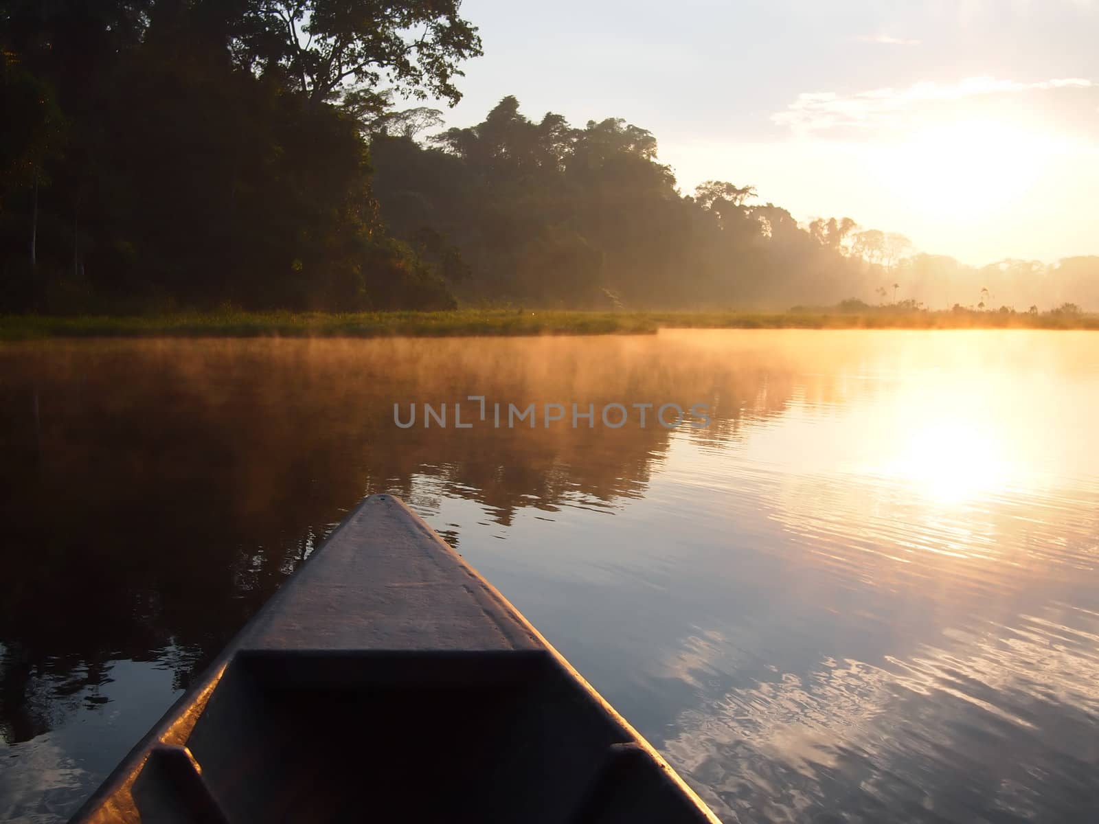 Navigating the Tambopata river by boat during sunrise in the Amazon rainforest in Peru.