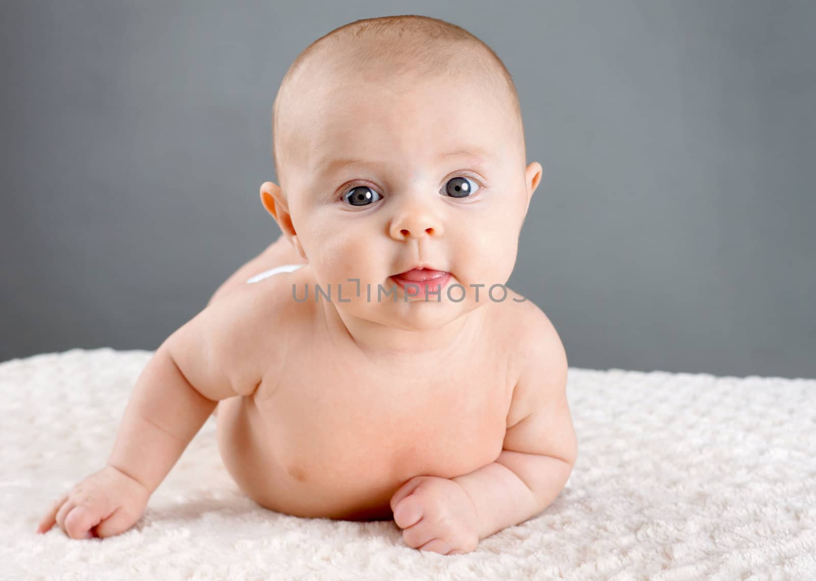 Cute baby on its belly lifting its head looking at camera