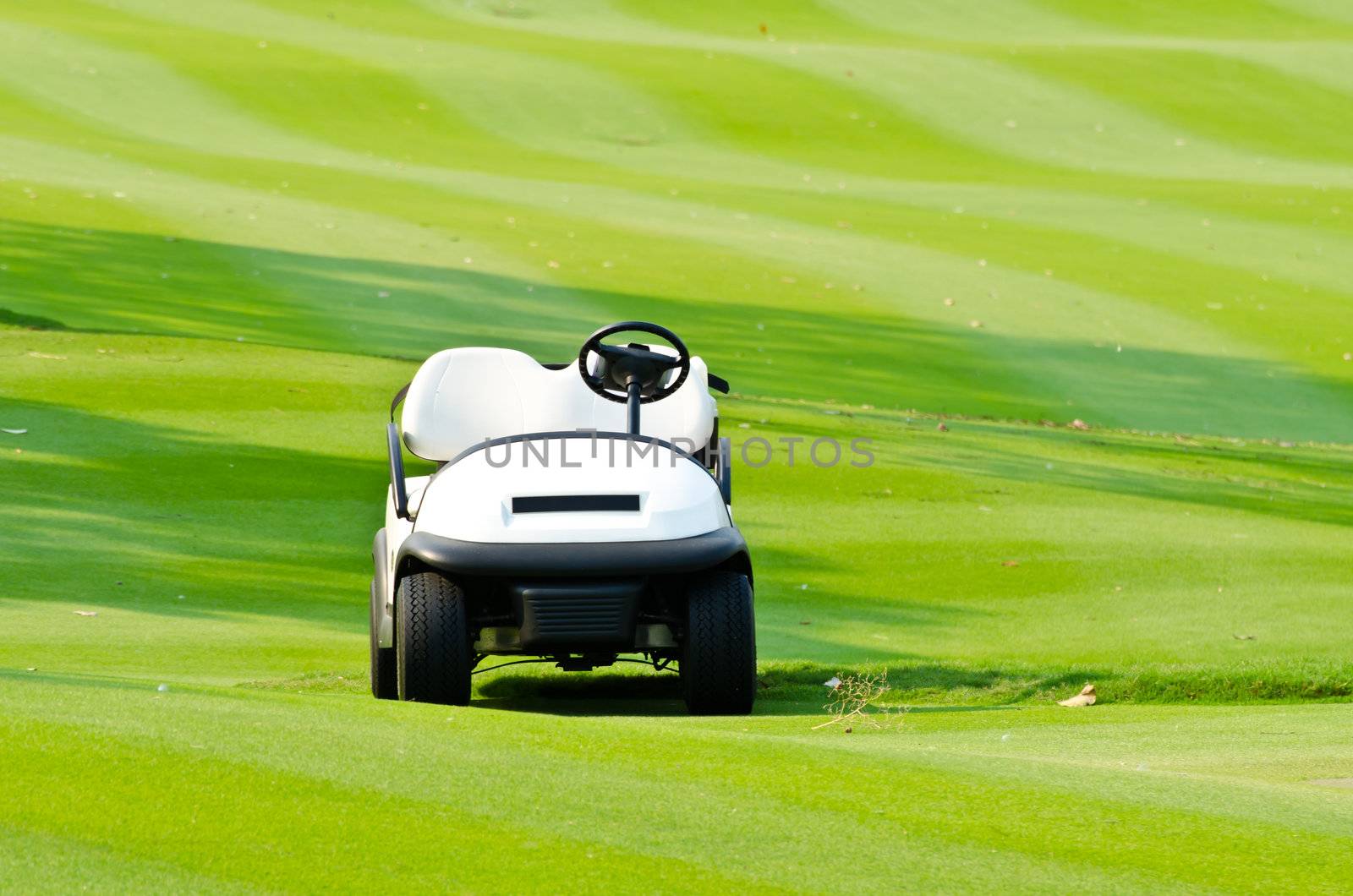Golf cart at golf course.
