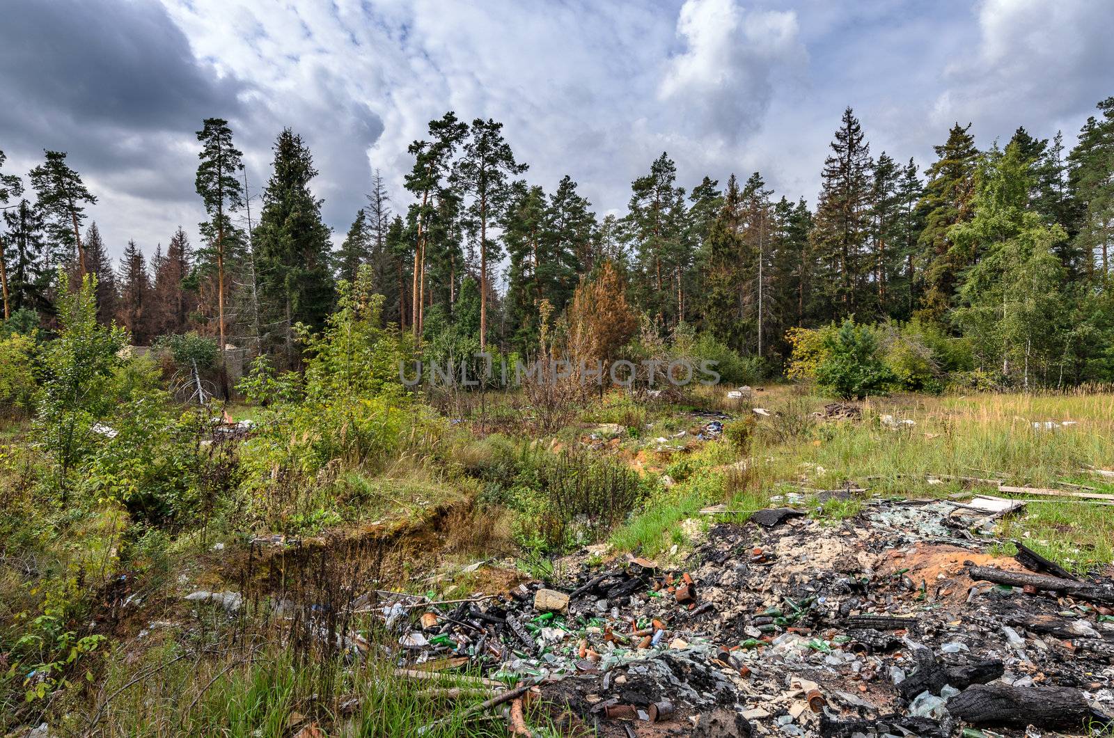 Environmental pollution - garbage dump in forest