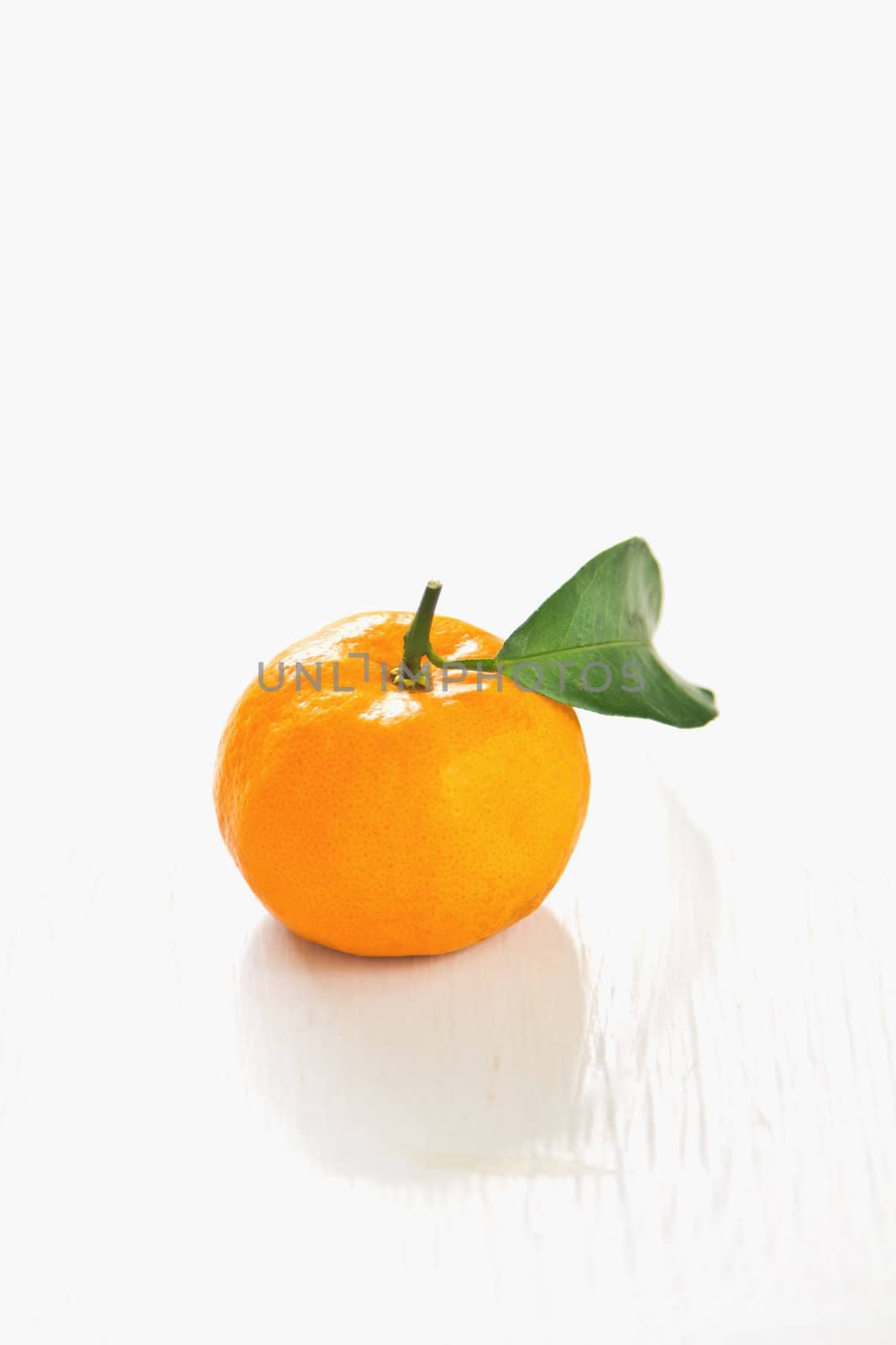 Orange by vanillaechoes
