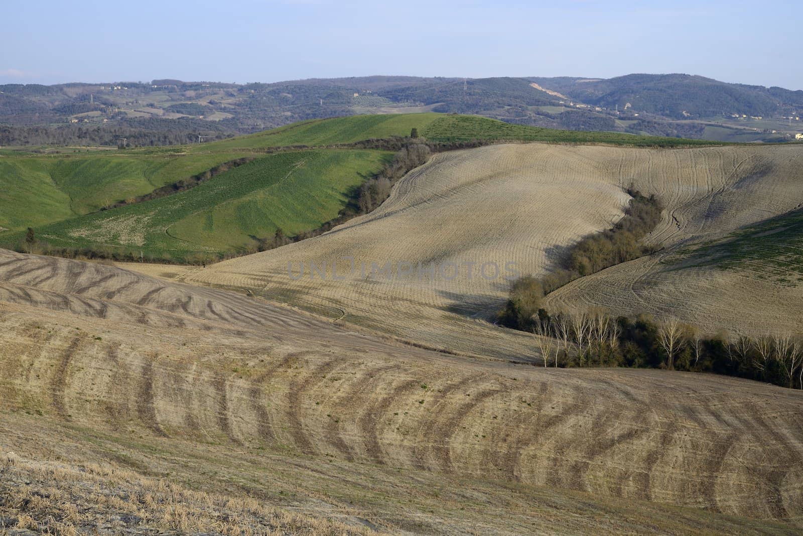Tuscan hills by mizio1970
