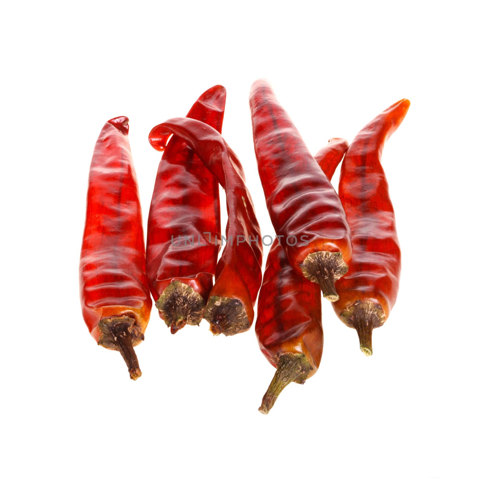 Six dried red hot chili peppers isolated against a white background