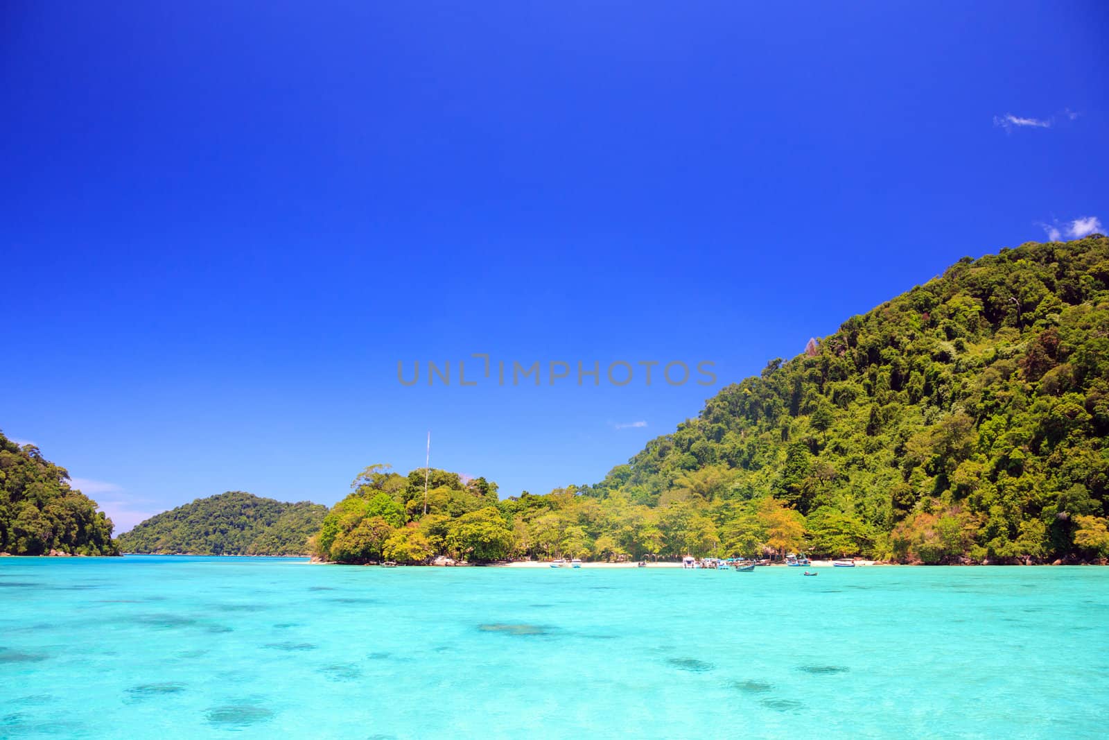 Snorkeling point with beautiful coralscape at Surin national park Phuket Thailand