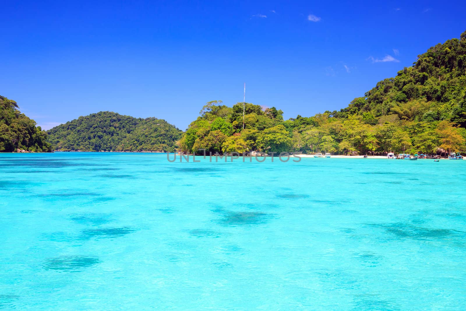 Snorkeling point with beautiful coralscape at Surin national park Phuket Thailand