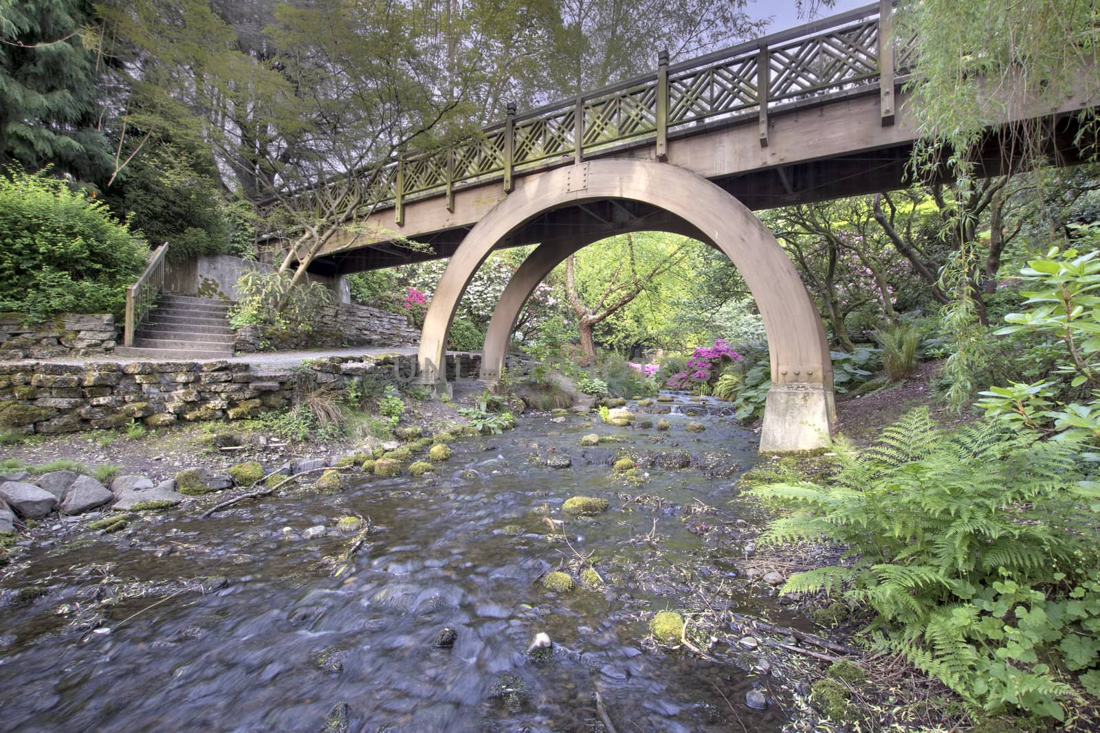 Steps to the the Wooden Bridge Arches at Crystal Springs Rhododendron Garden