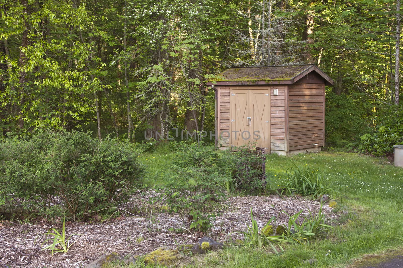 Small storage shed in a forest. by Rigucci