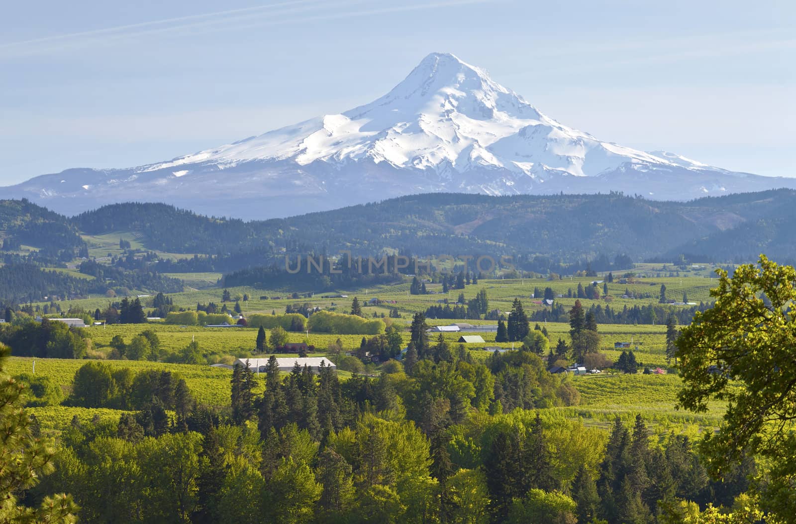 Mt. Hood and Hood River valley in Spring Oregon.