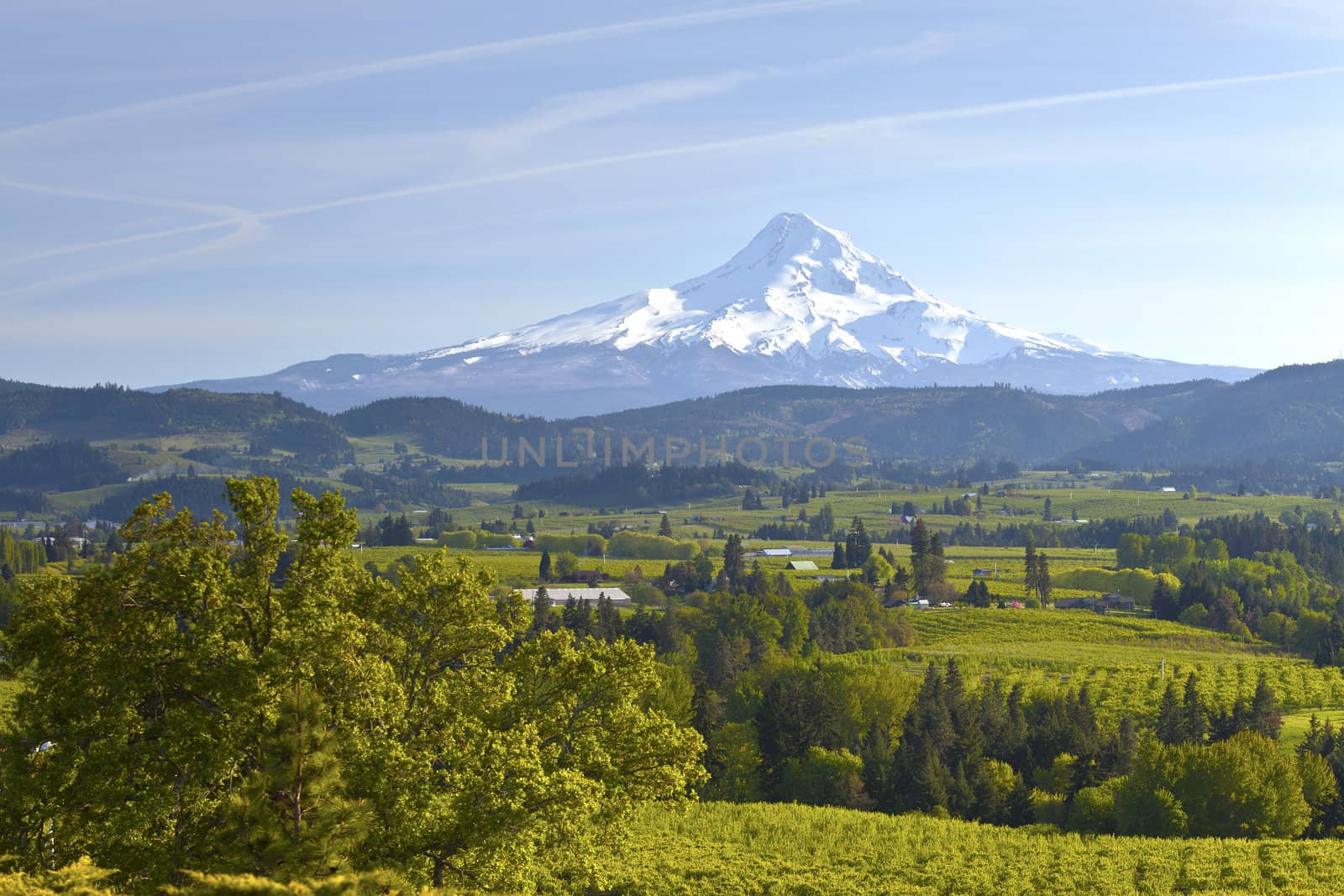 Mt. Hood and Hood River valley in Spring Oregon.