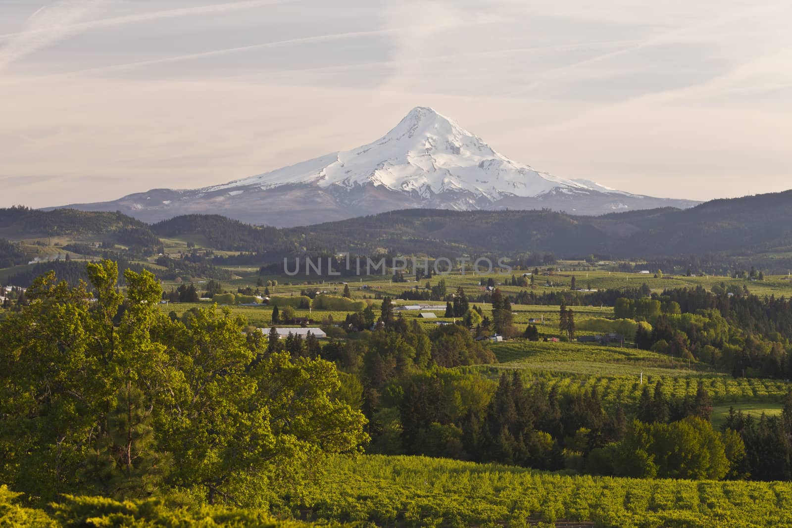 Mt. Hood and Hood River valley in Spring Oregon.