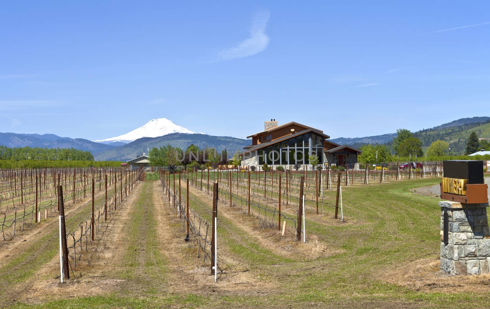 Mt Hood winery in Hood River valley Oregon.