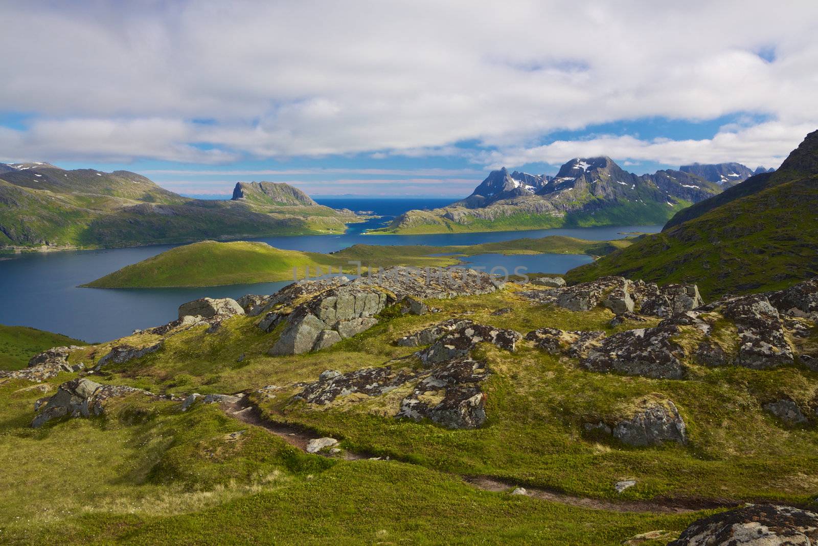 Scenic panorama of green Lofoten islands in Norway during summer