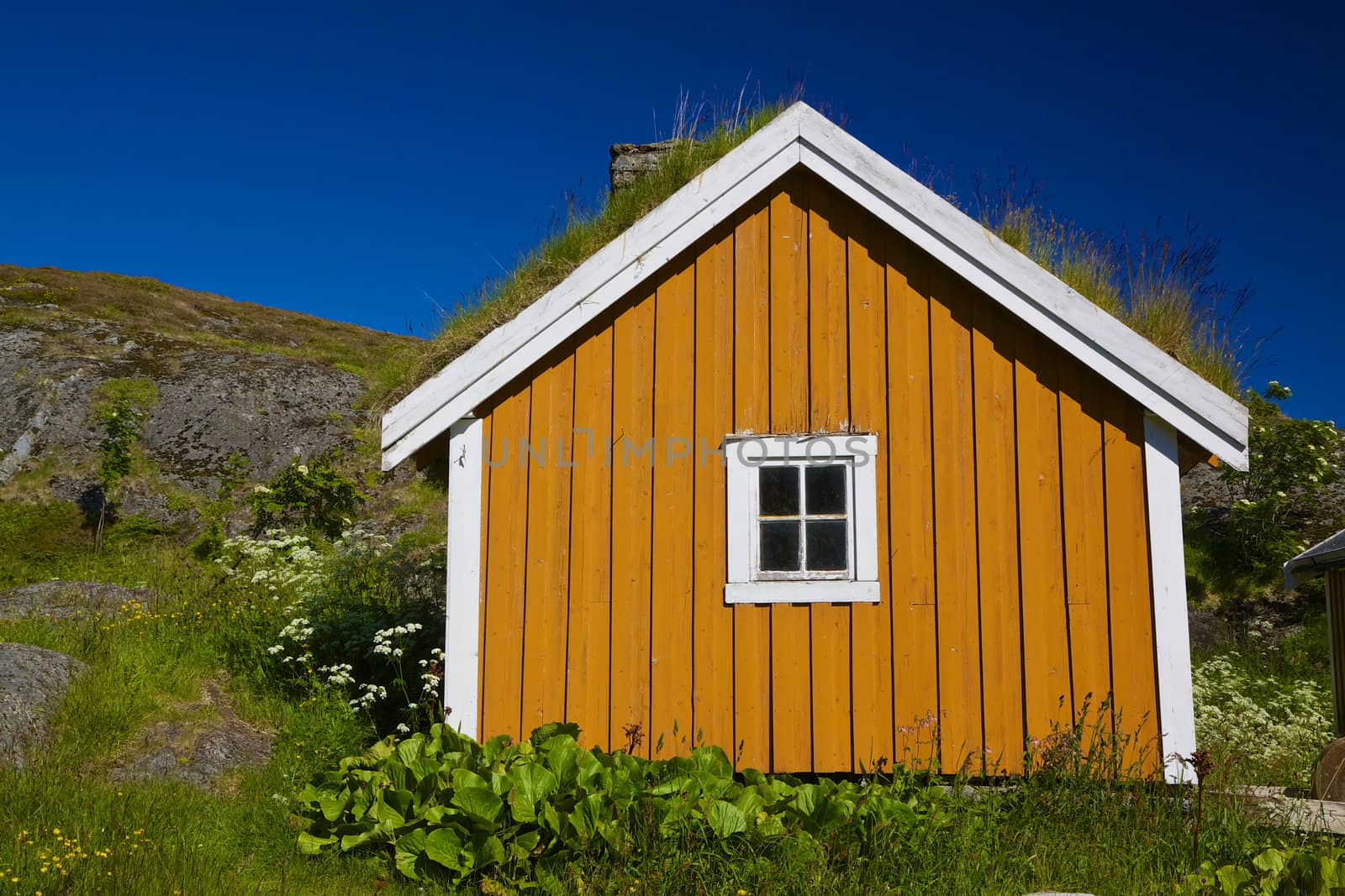 Picturesque yellow shed with green roof on Lofoten islands in Norway