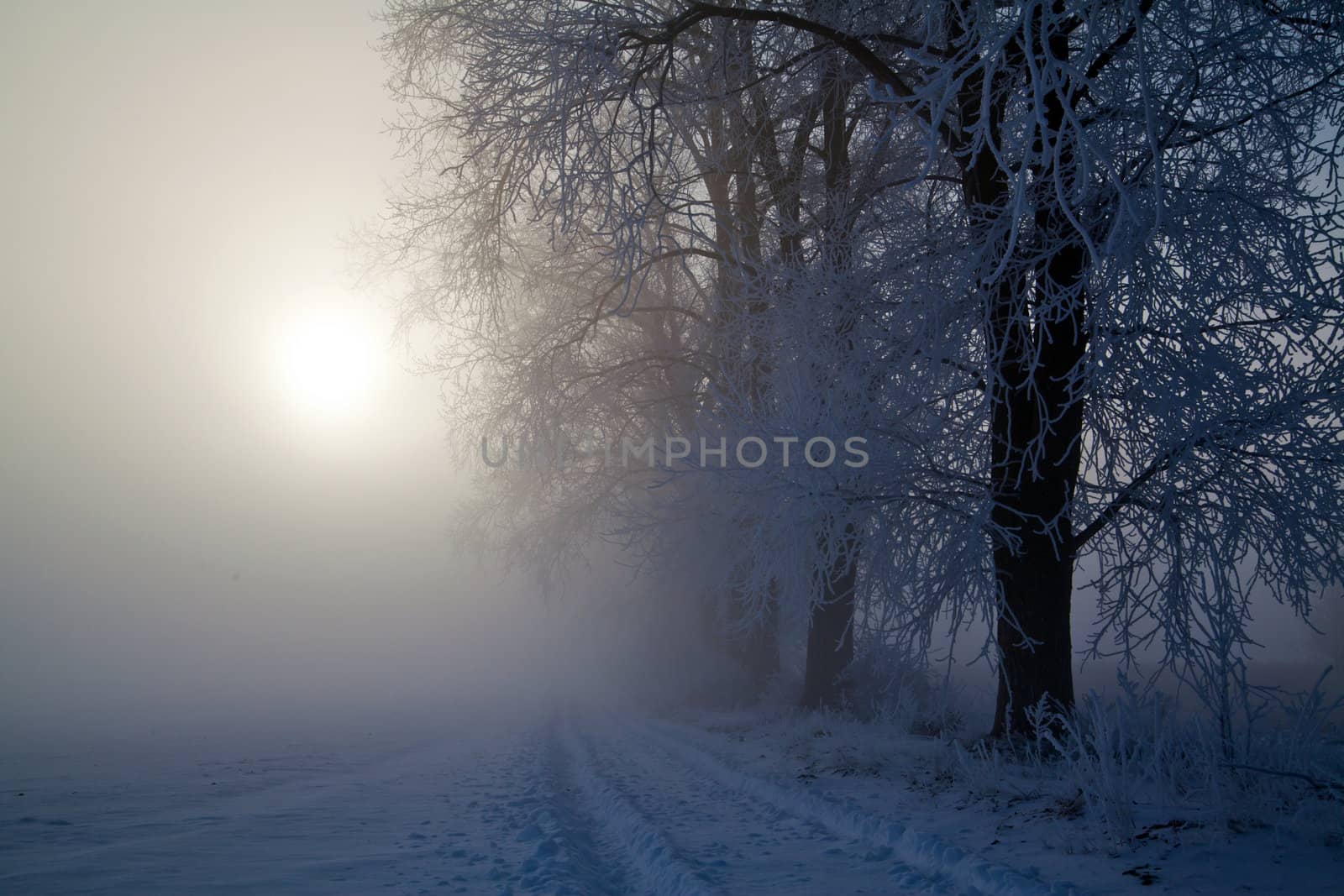 Winter landscape at sunny frozen morning
