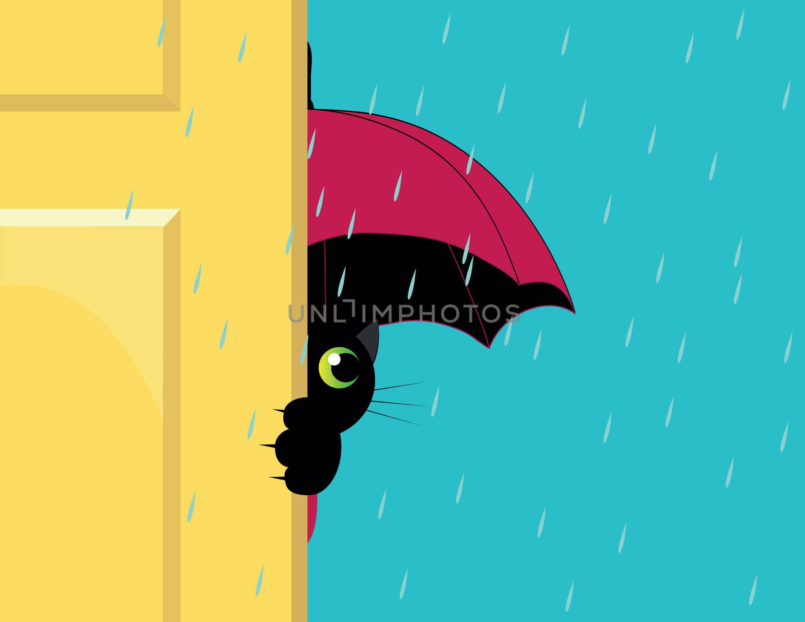 cat under an umbrella looking out of the door