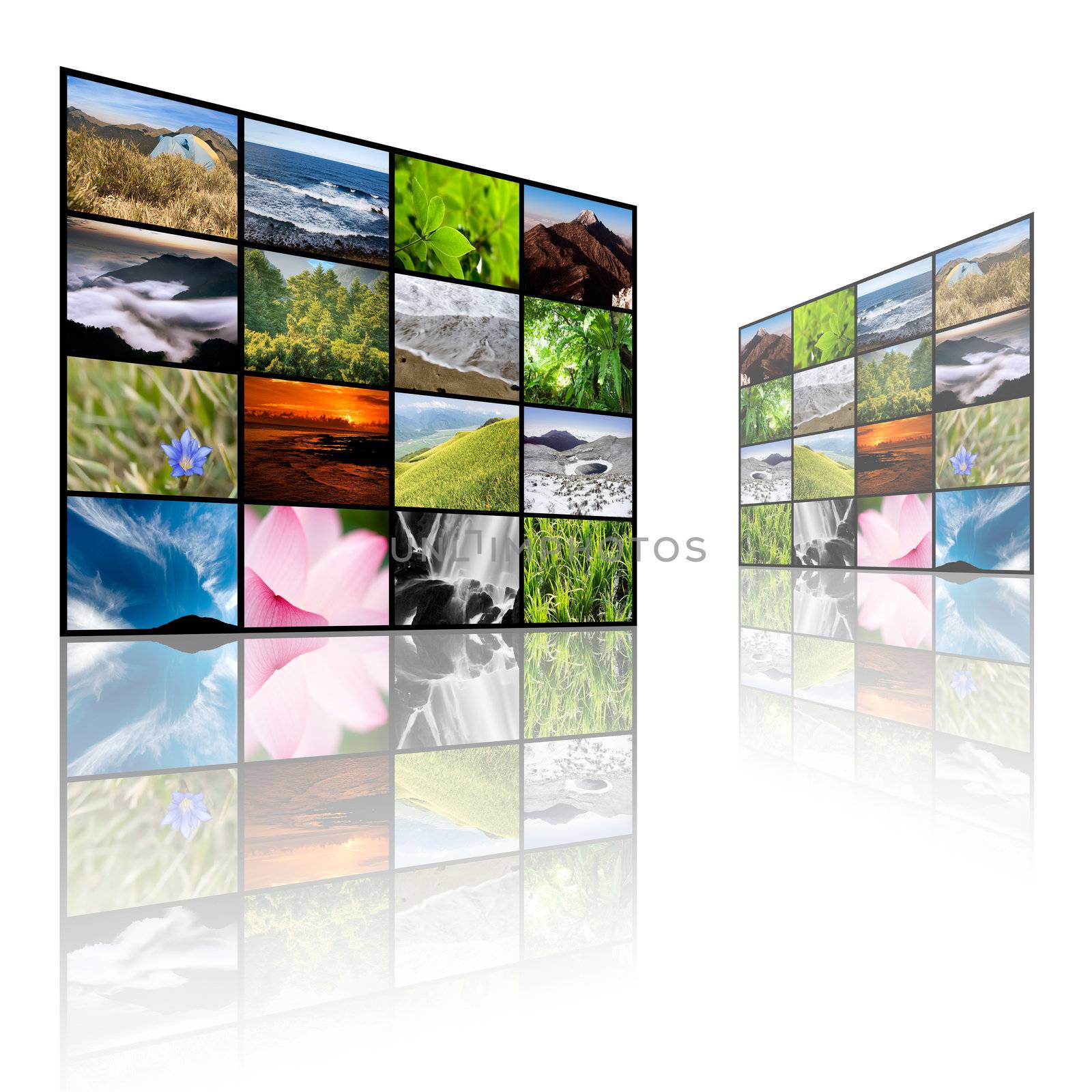 Collection of nature landscape on tv wall.