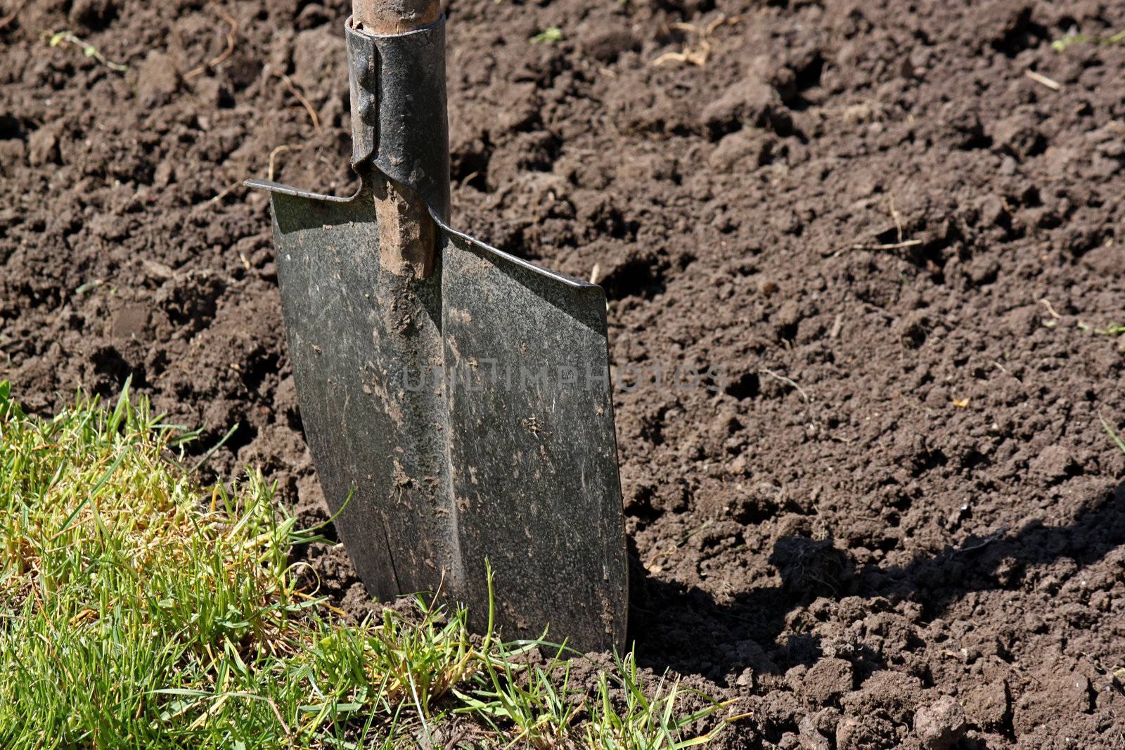 close up of shovel in a ground