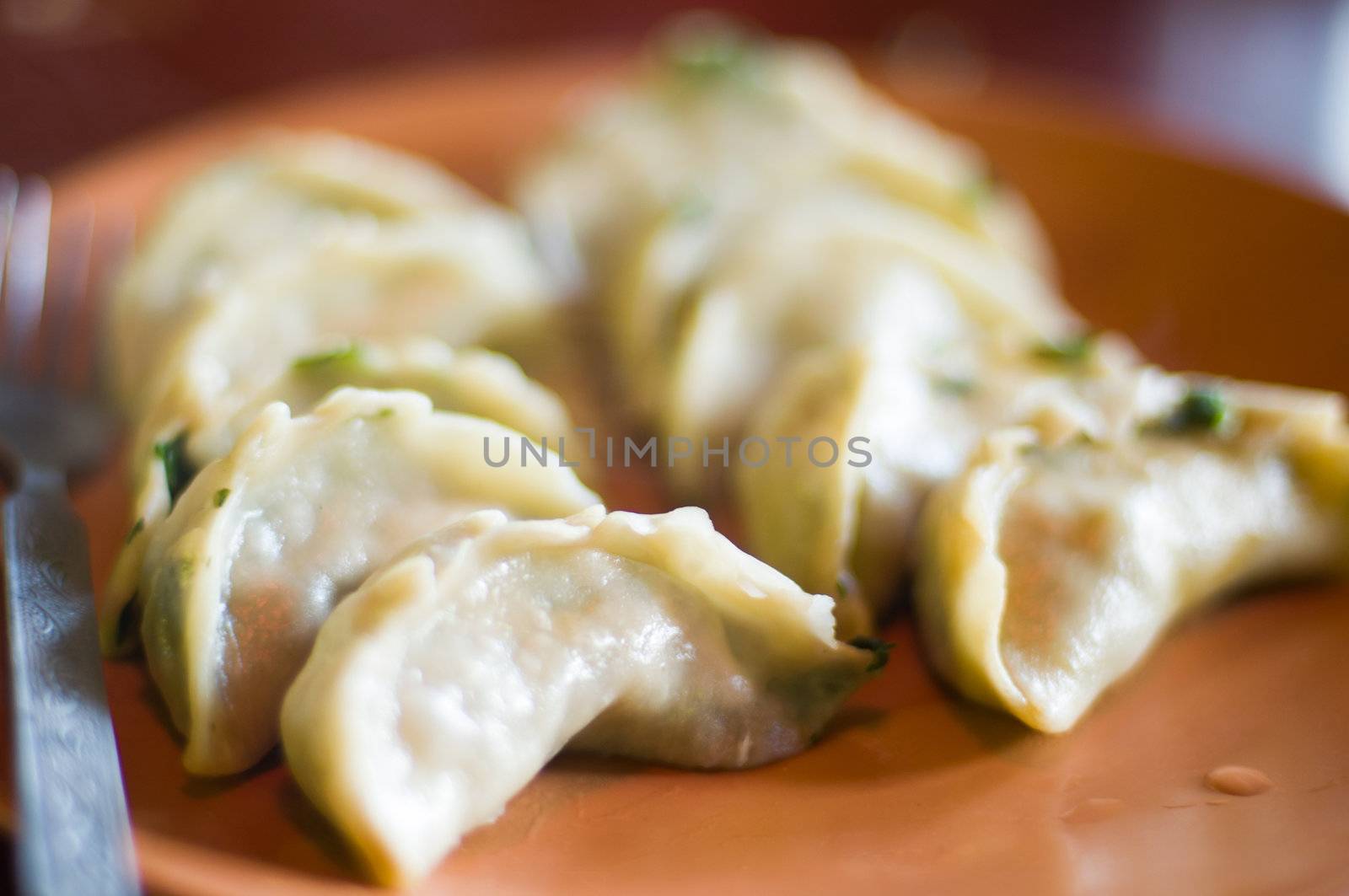 momo, an indian dumpling, India