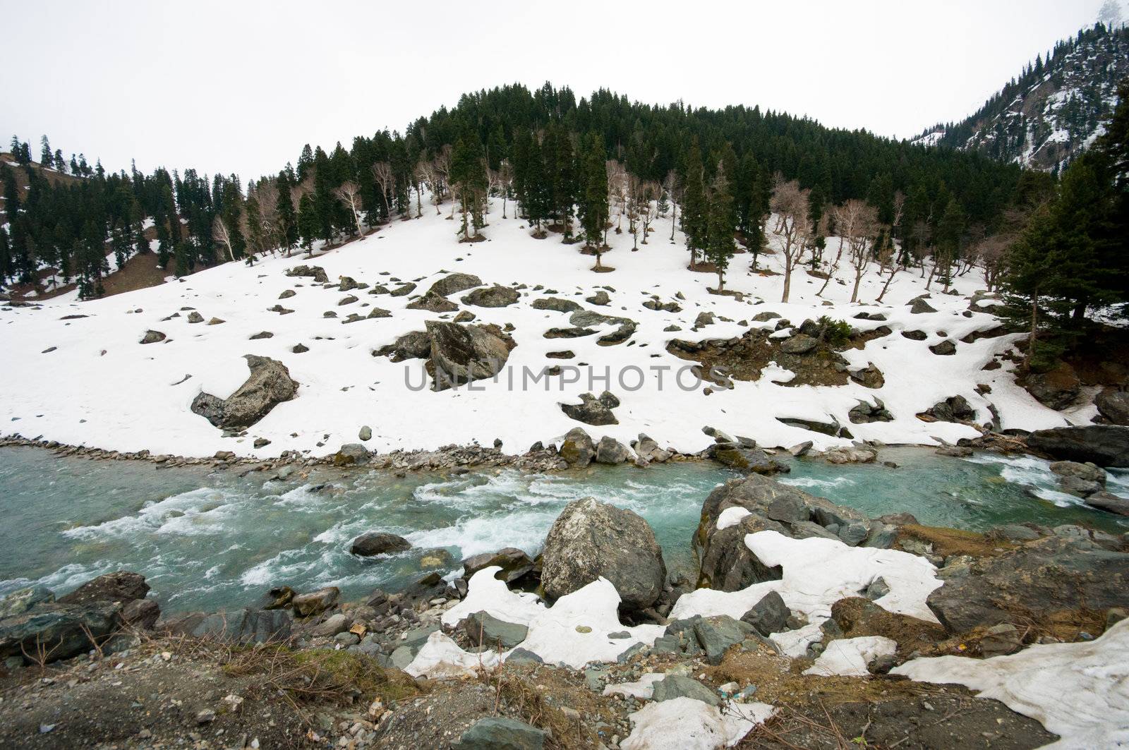 a landscape view during going to Sonoma valley,Kashmir,India