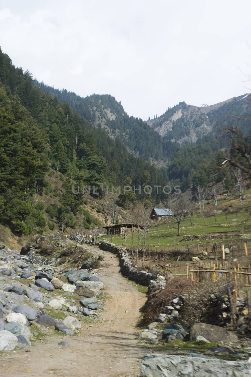 mountain in Pahalgam Valley, Kashmir, India