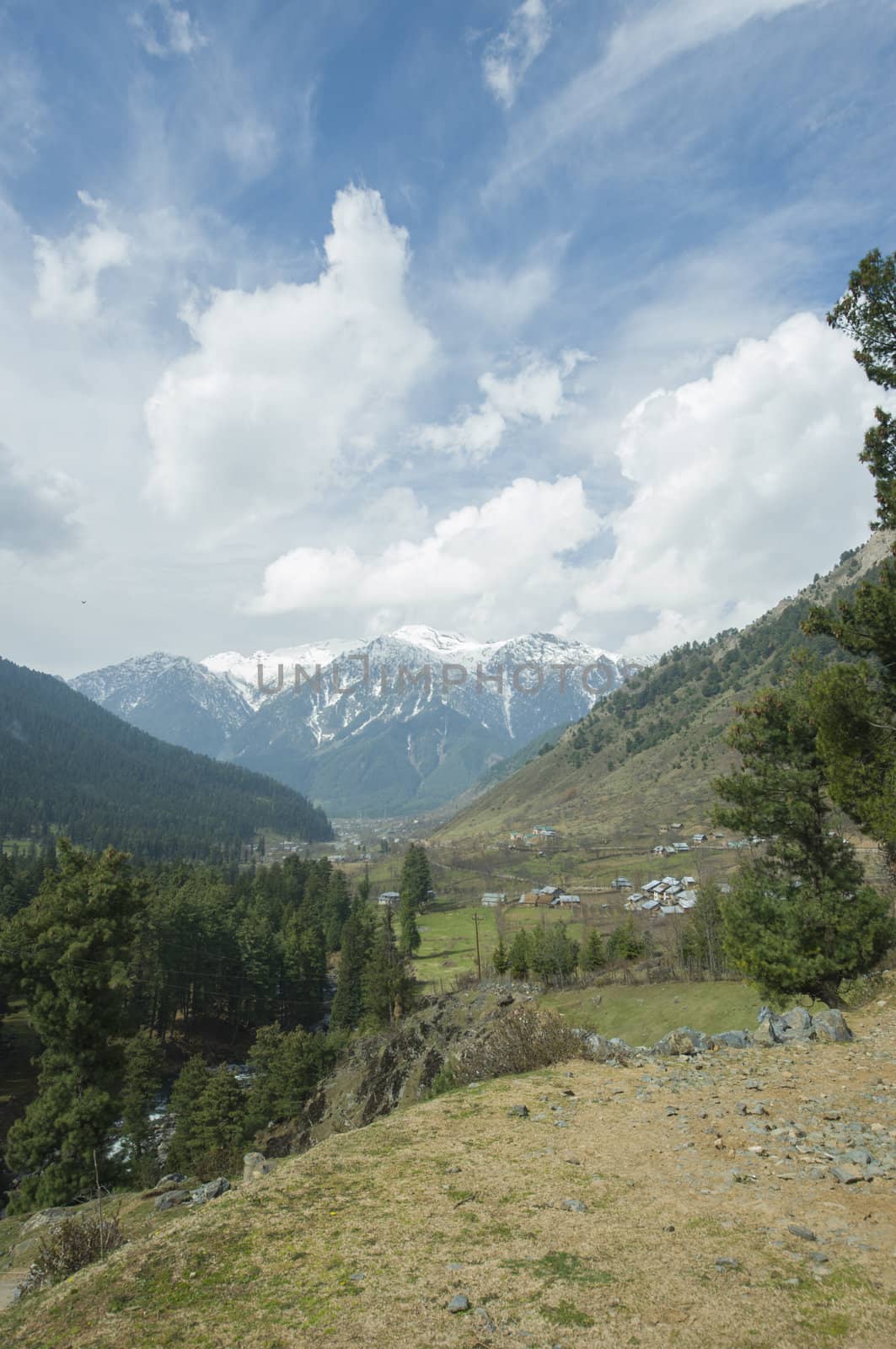 mountain in Pahalgam Valley, Kashmir, India