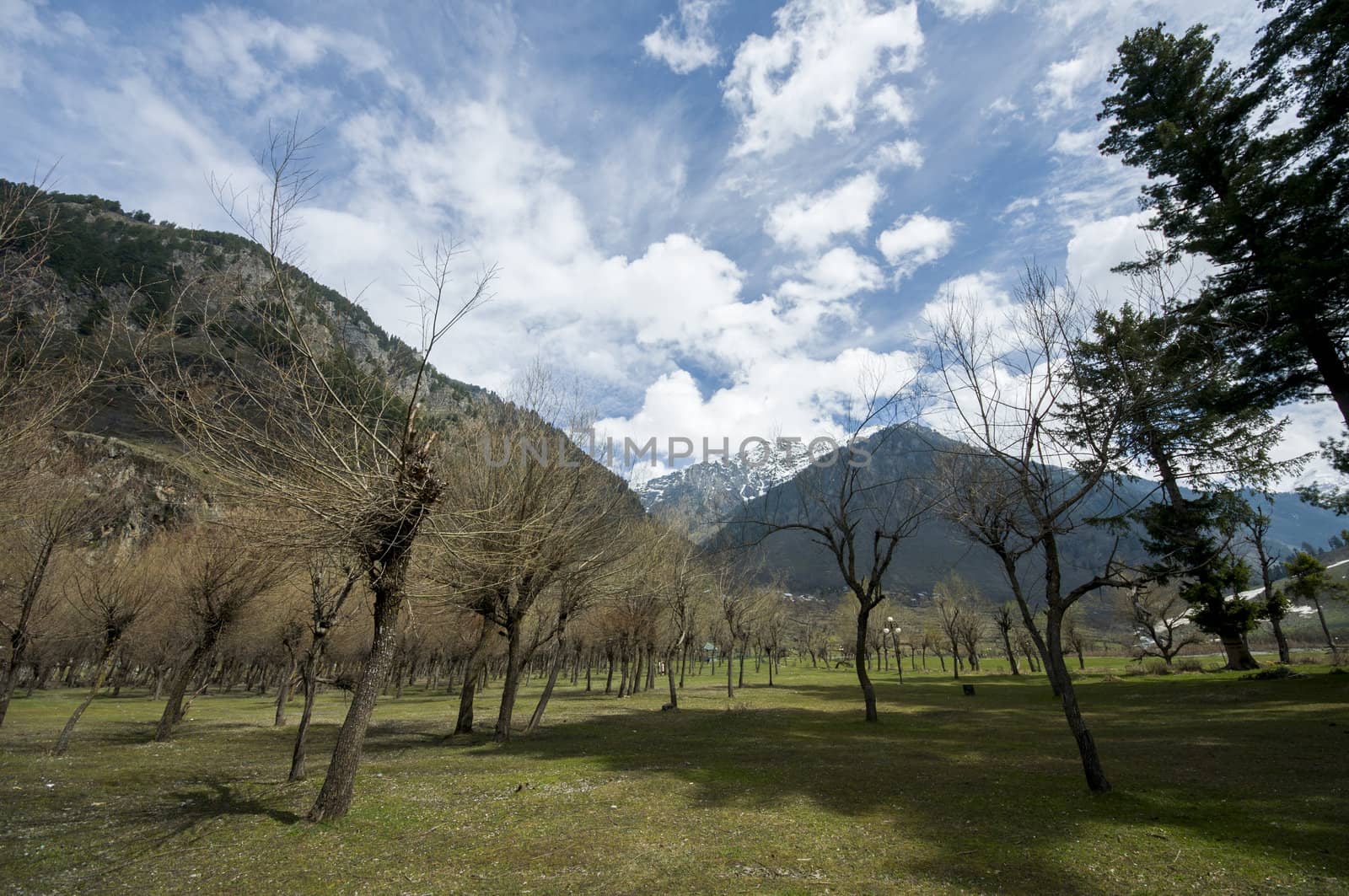 view from Pahalgam valley in Kashmir, India
