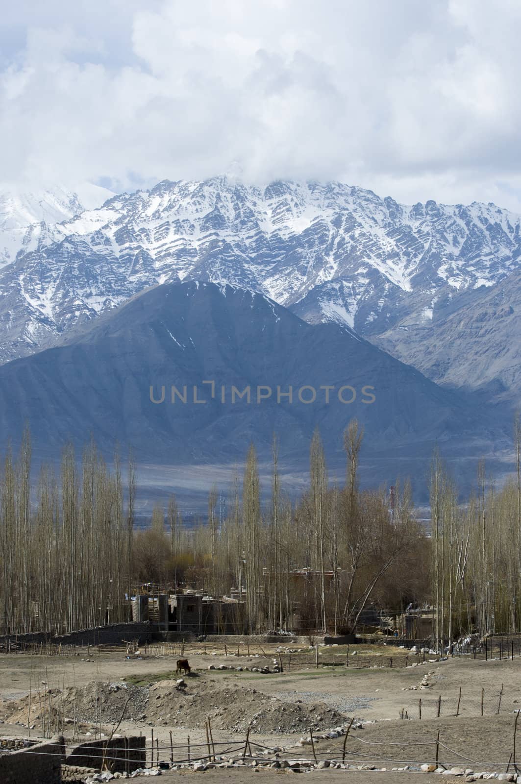 landscape of Leh, India
