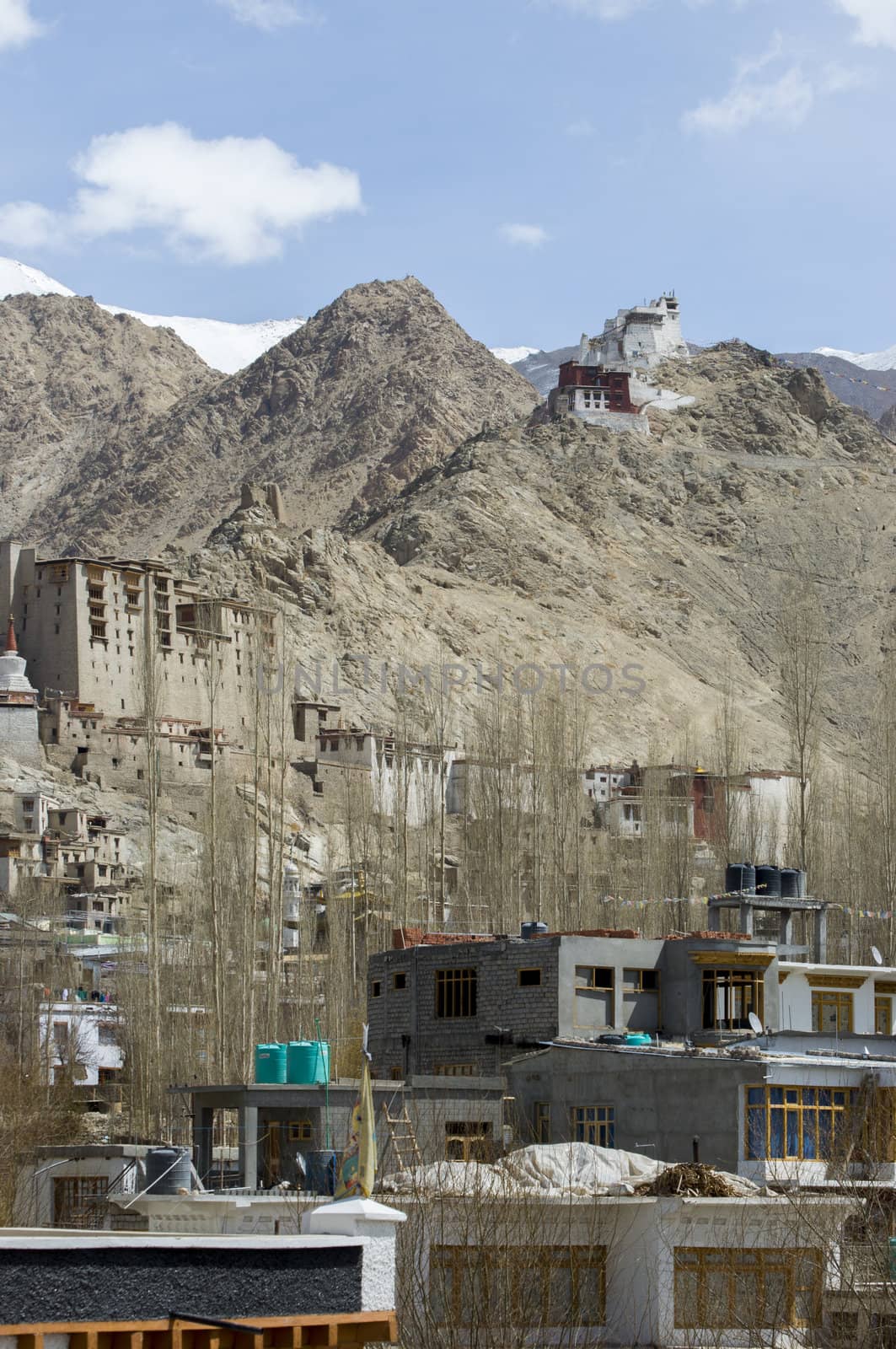 landscape of Leh, India