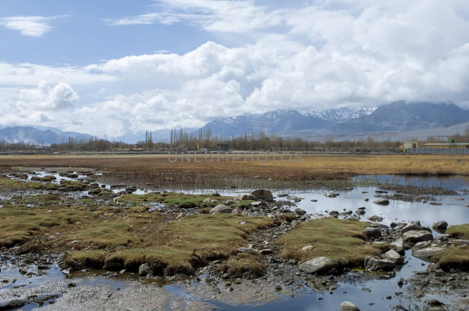 a lake in Leh, India