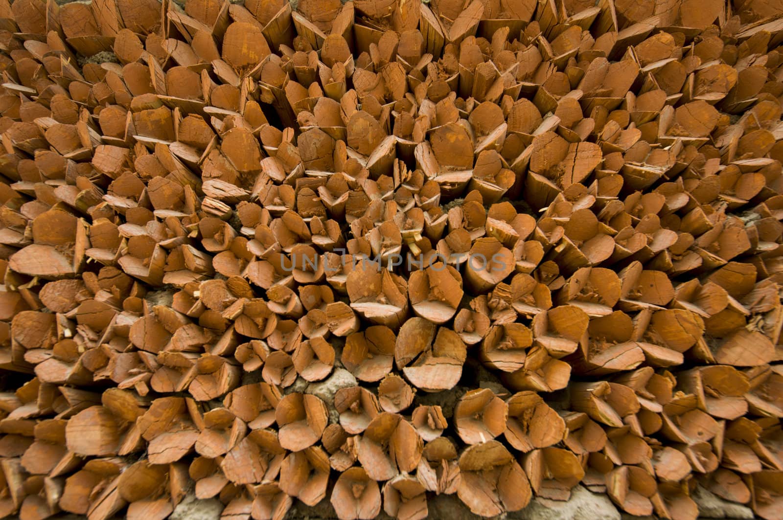 firewood in Leh, India
