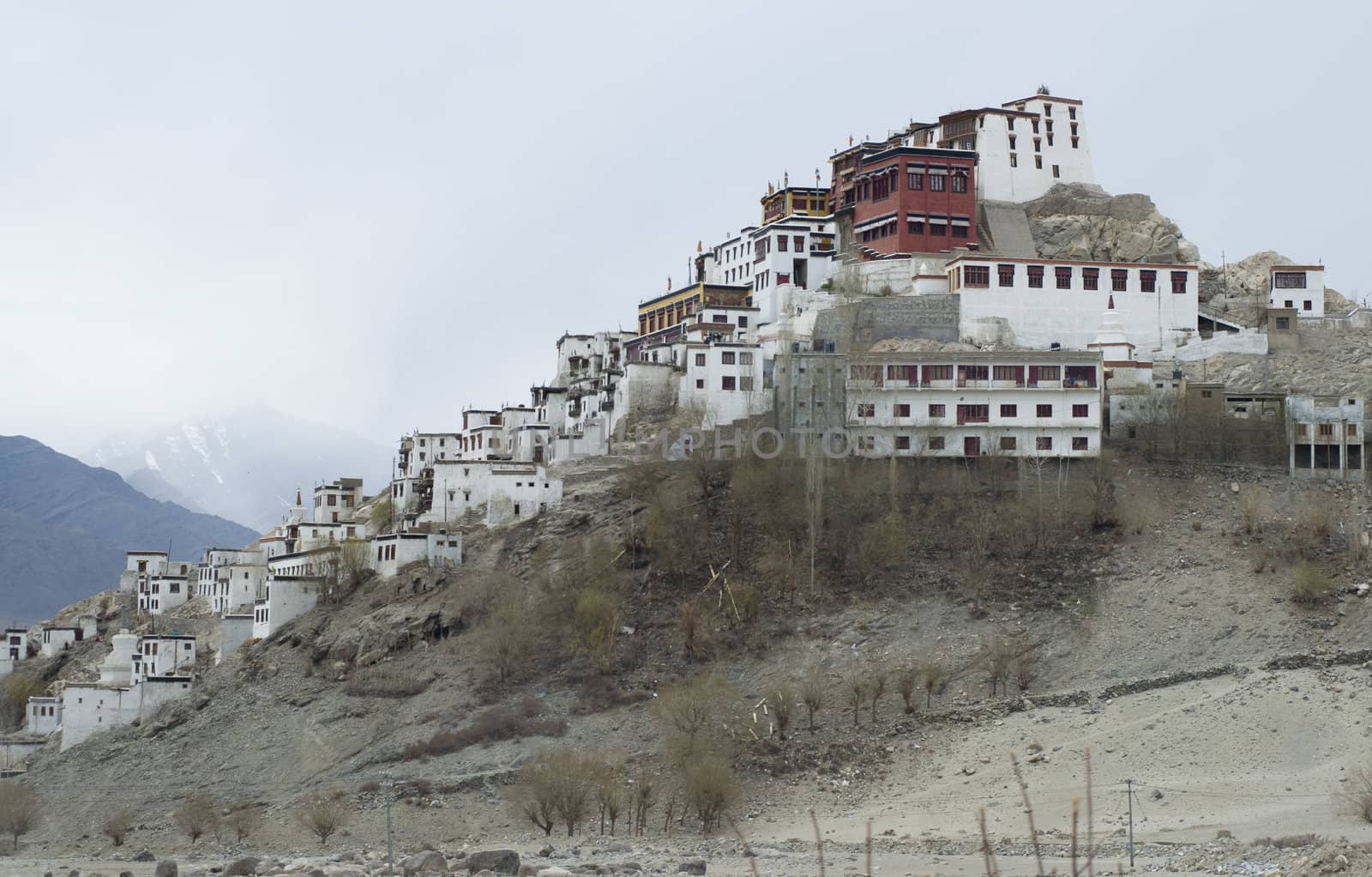 Thiksey monastery in Leh, India