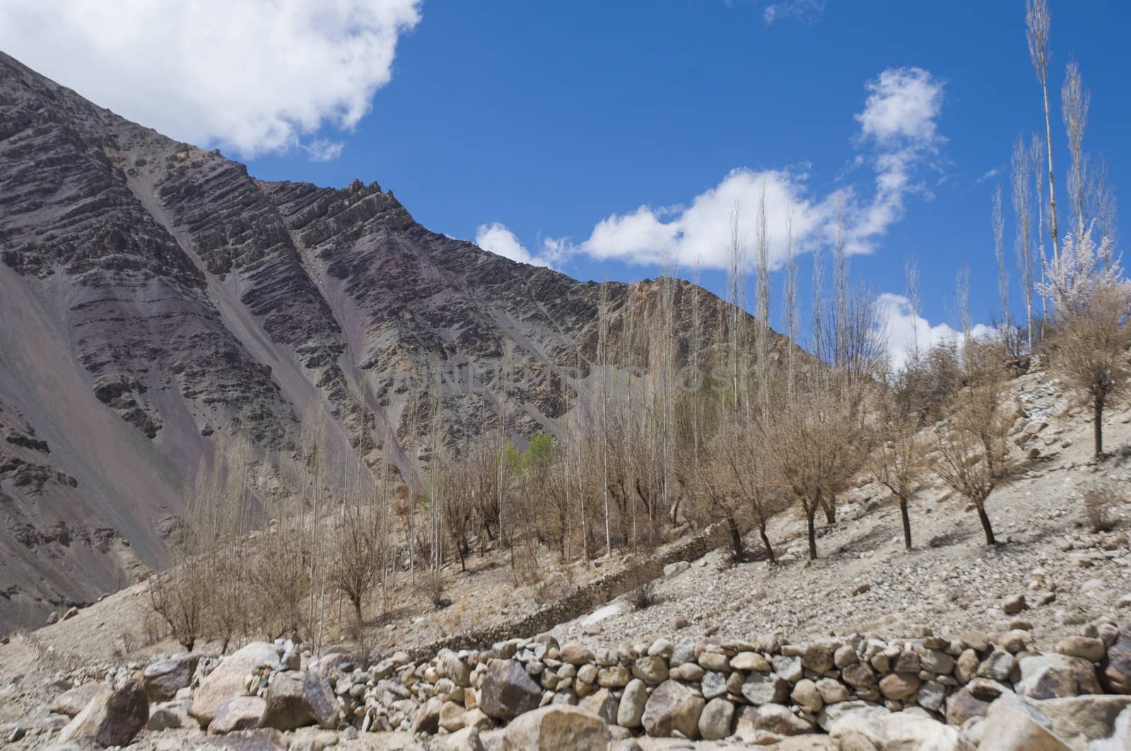 view of mountain and sky to Nubra valley, Leh, India