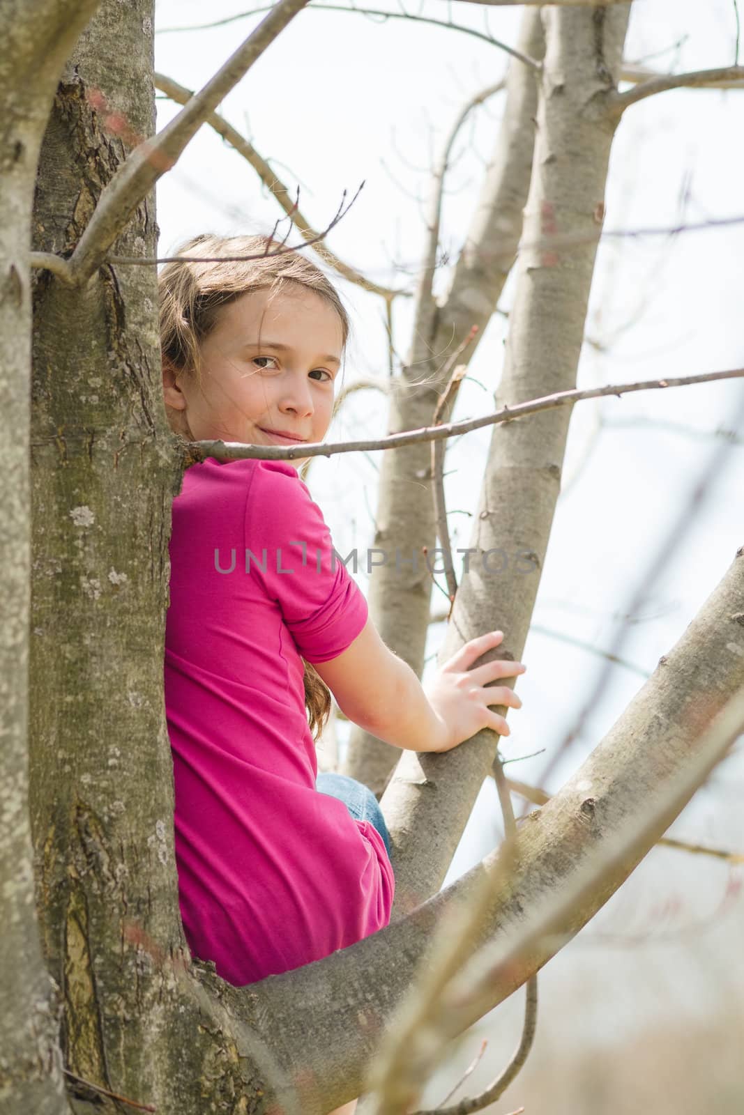 Young girl sitting in a tree