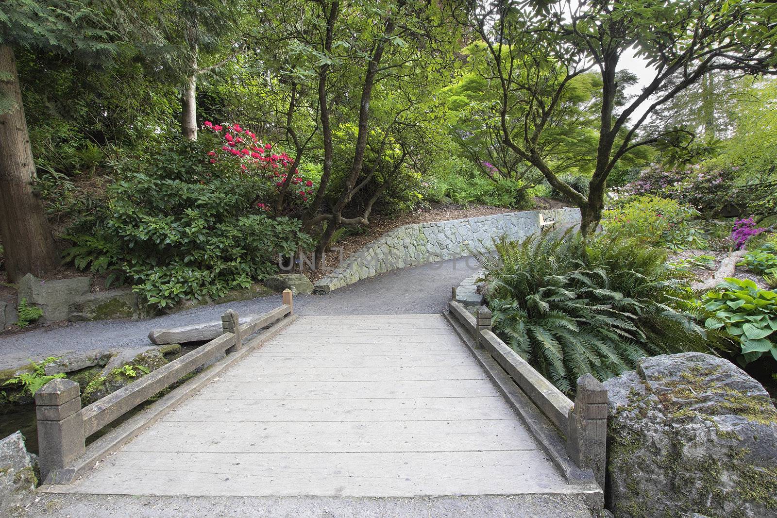 Foot Bridge across Along Hiking Trail at Crystal Springs Rhododendron Garden in Spring Season