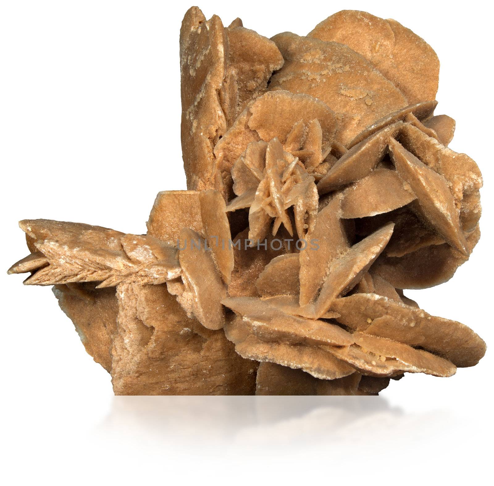 Desert rose - Rock from the Sahara desert - north Africa