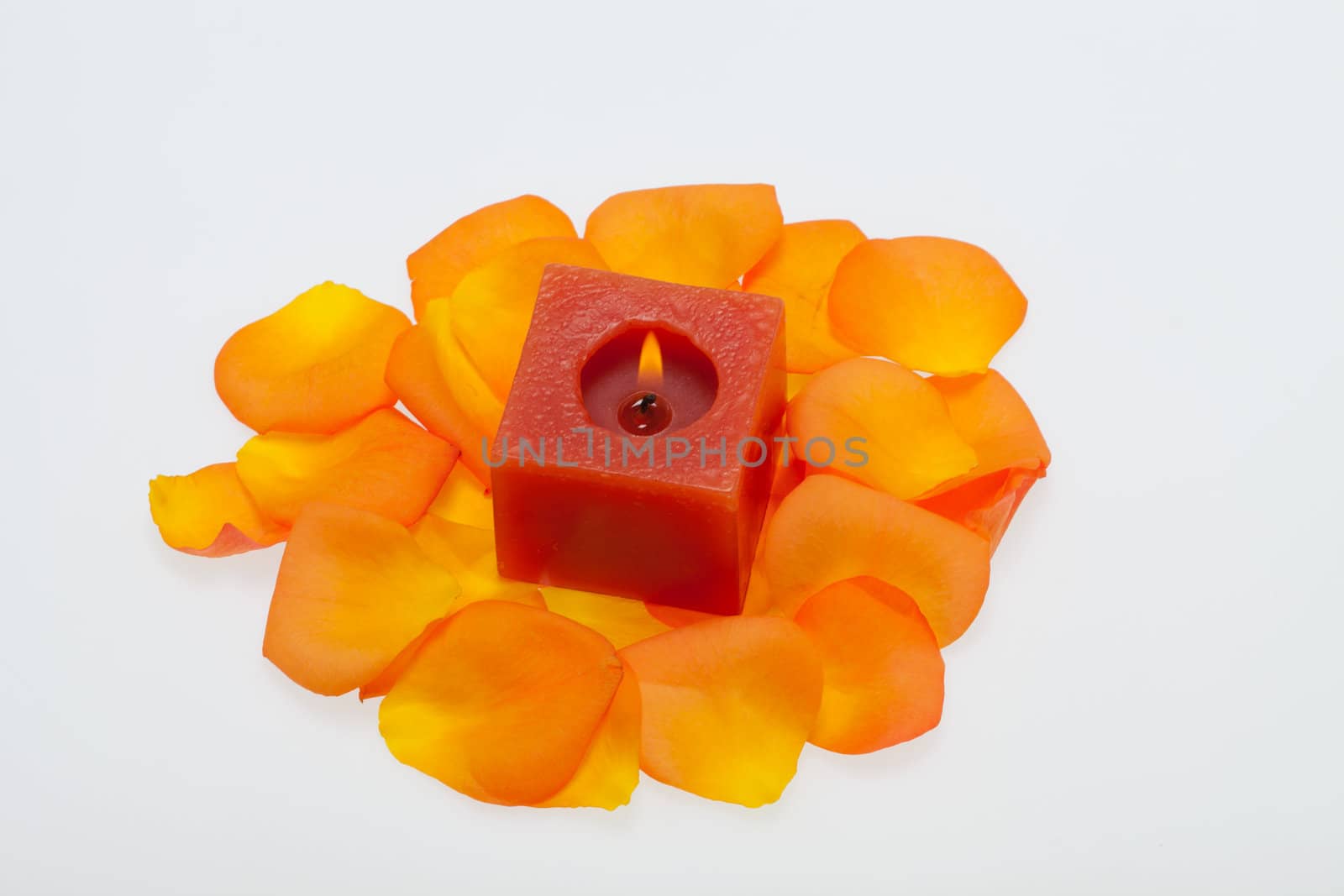 Spilt petals of the orange-rose around the aromatic candle by wjarek