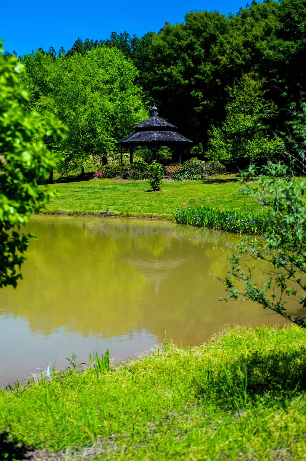 water reflects nature with gazebo in distance by digidreamgrafix