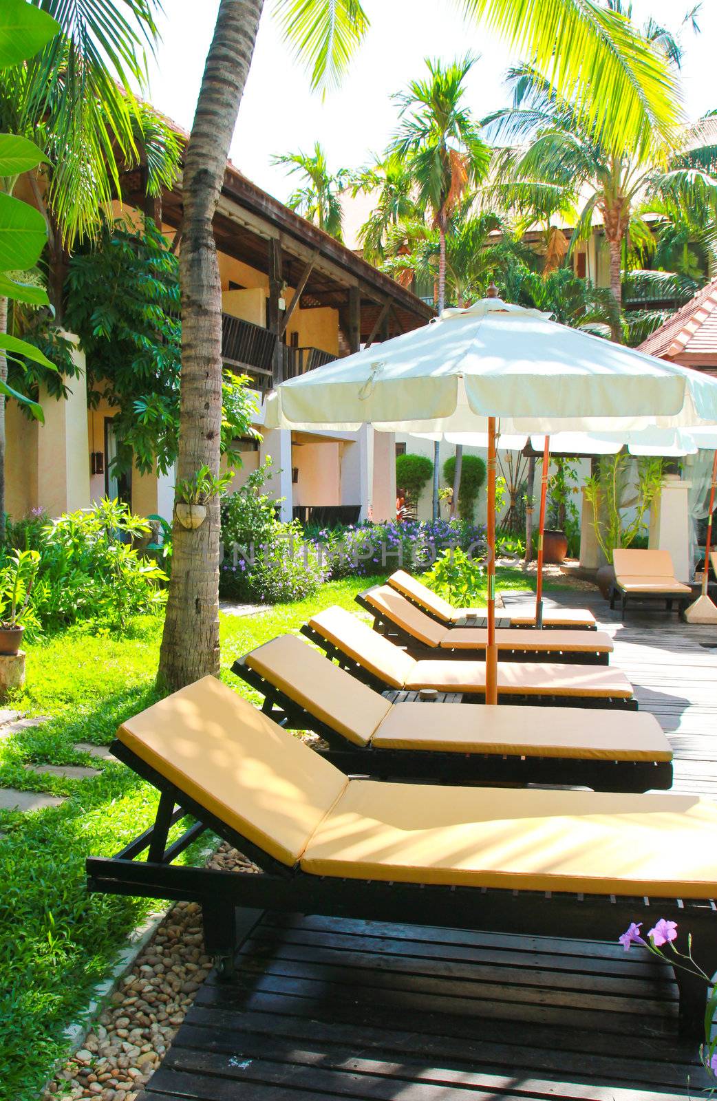 Beach chairs and umbrella side swimming pool