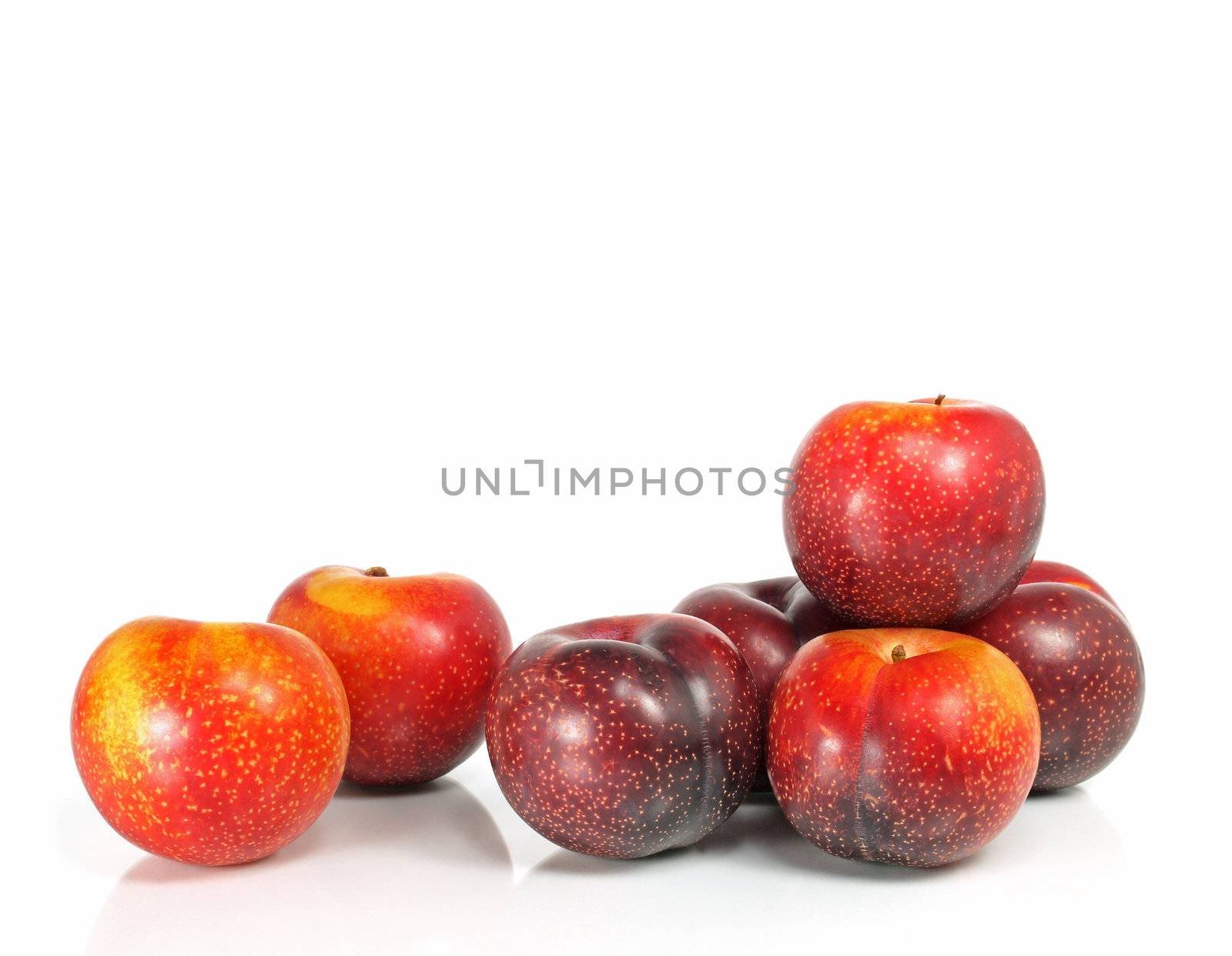 plums on white by Ric510