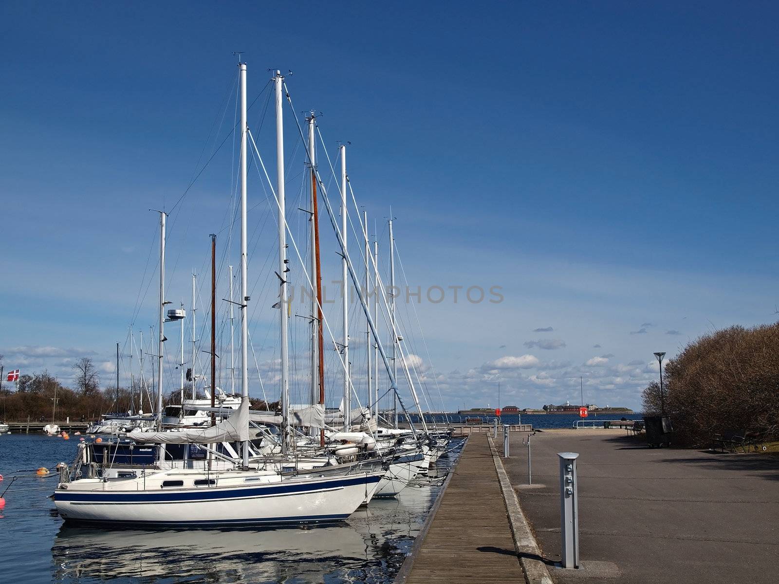 sailboats at the marina by Ric510