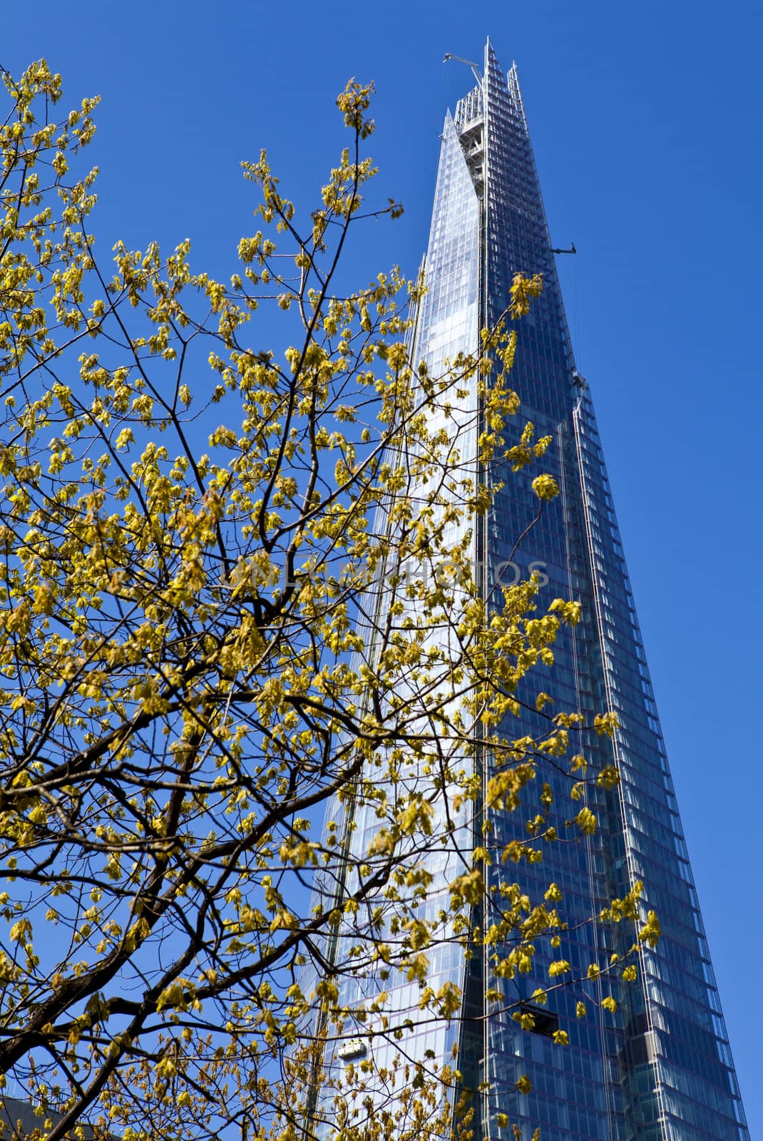 Looking up at the Shard in London.