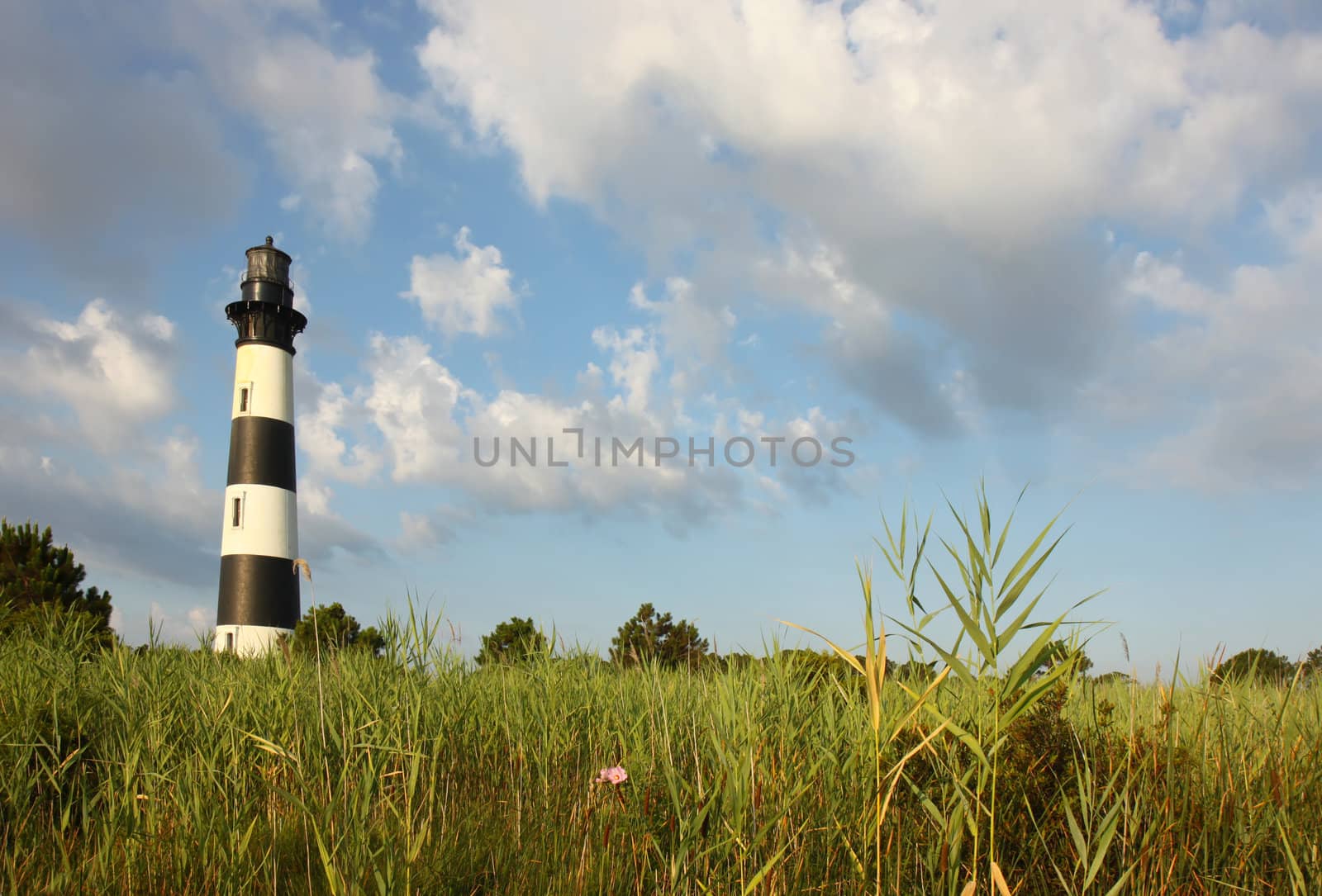 The Bodie Island lighthouse from the marshes by sgoodwin4813