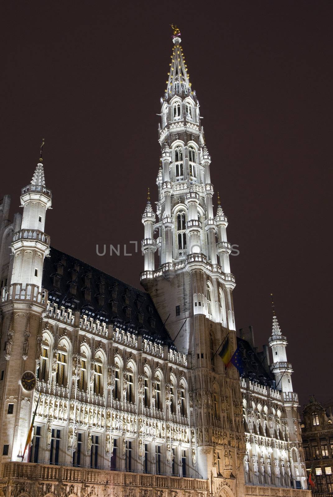 Brussels City Hall (Hotel de Ville) in Grand Place by chrisdorney