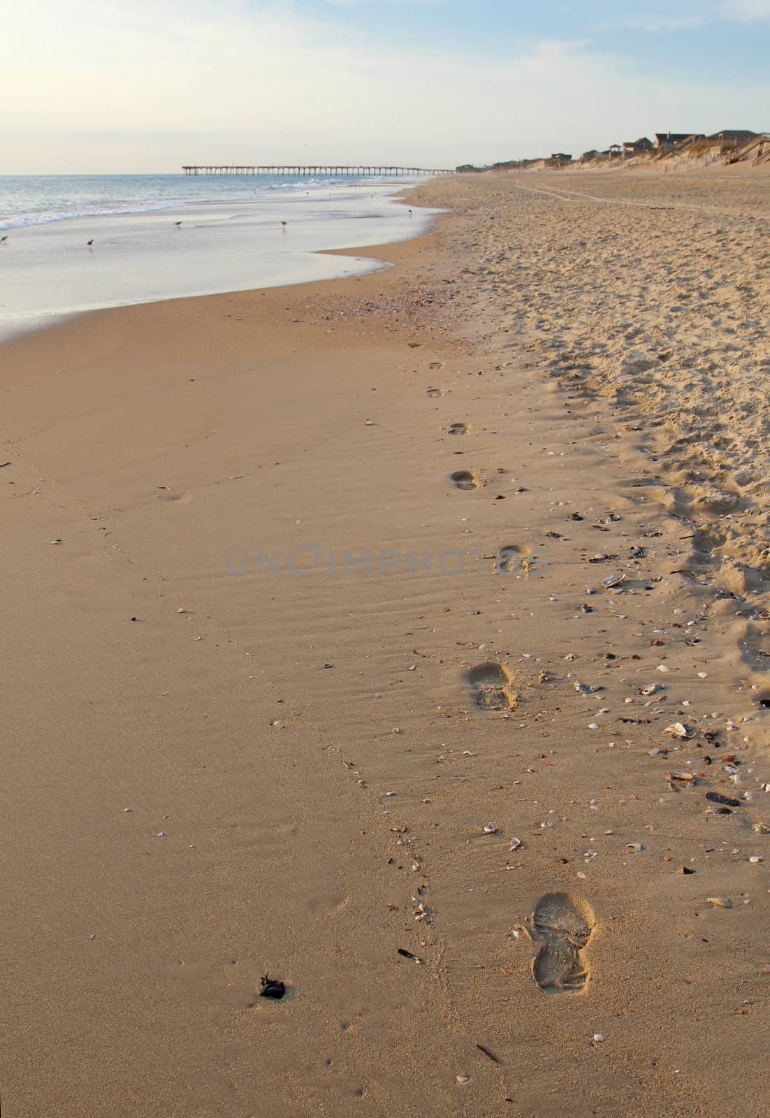 A single pair of footsteps along on empty beach in the early morning on the Outer Banks of North Carolina with beach houses and a fishing pier in the background