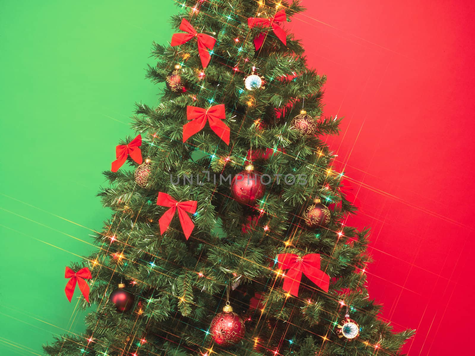 cropped image of christmas tree by kozzi